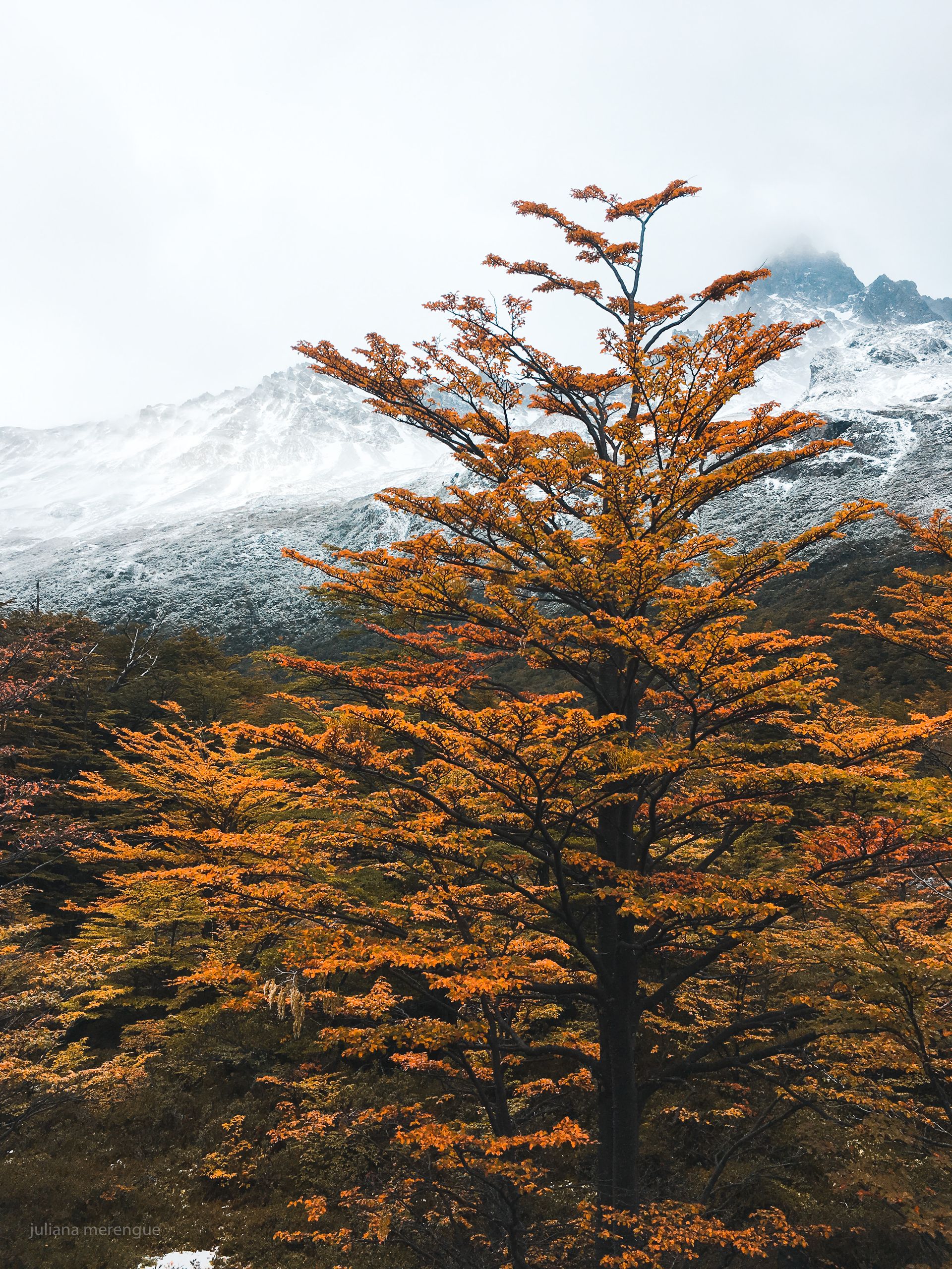 Torres del Paine - Circuito O - 8 - 18