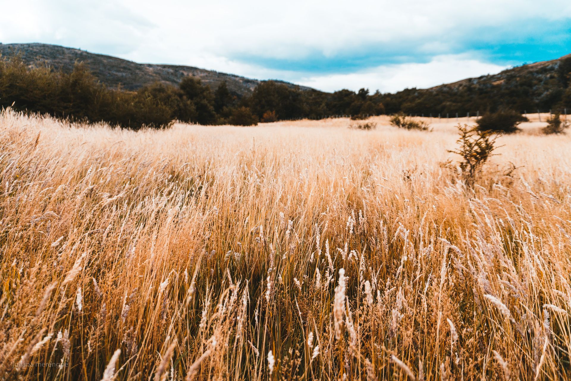 Torres del Paine - Circuito O - 8 - 30