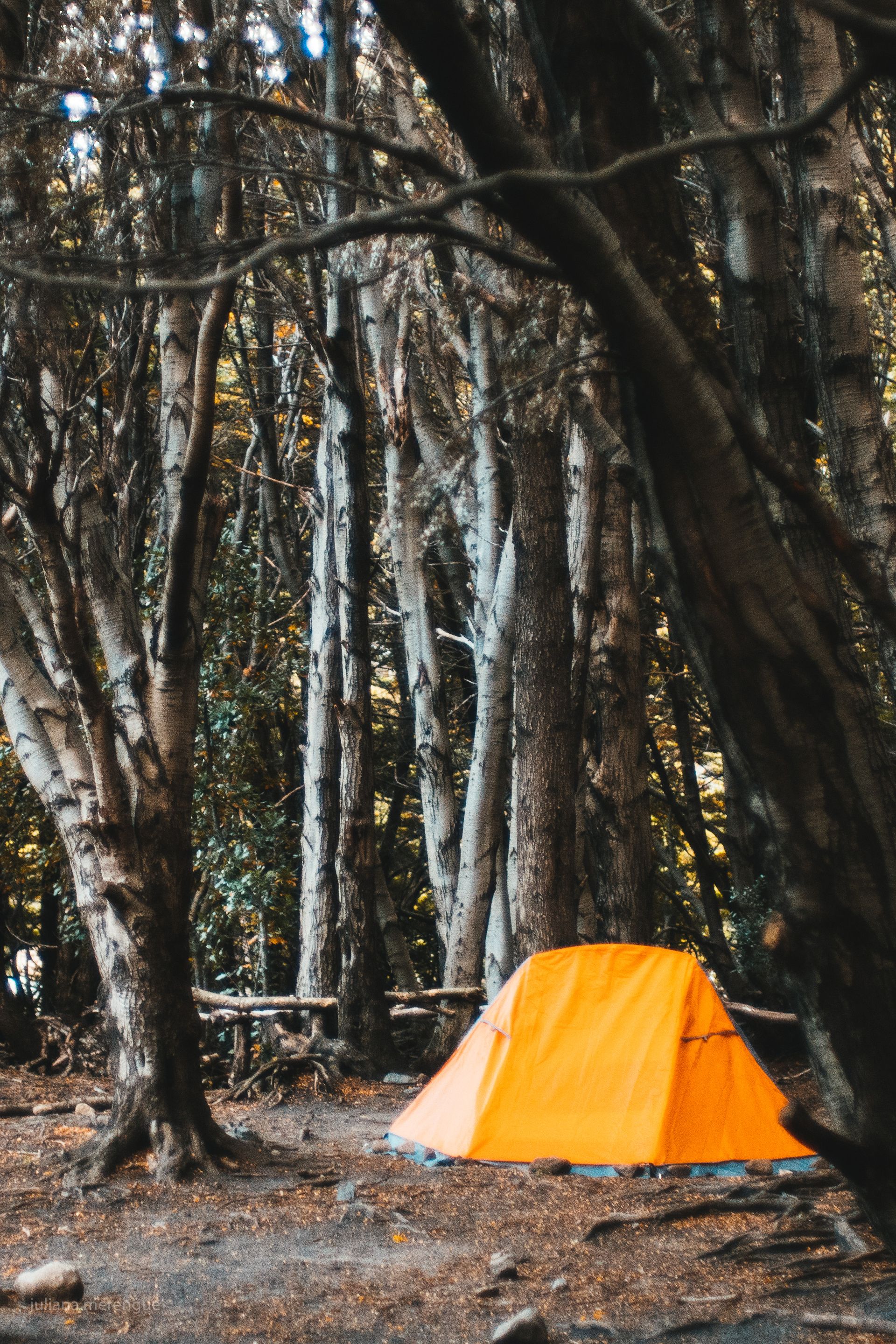 Torres del Paine - Circuito O - 8 - 34