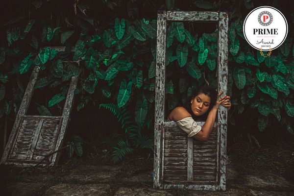 8ª Coleção Prime Photo Association - 2 - 0