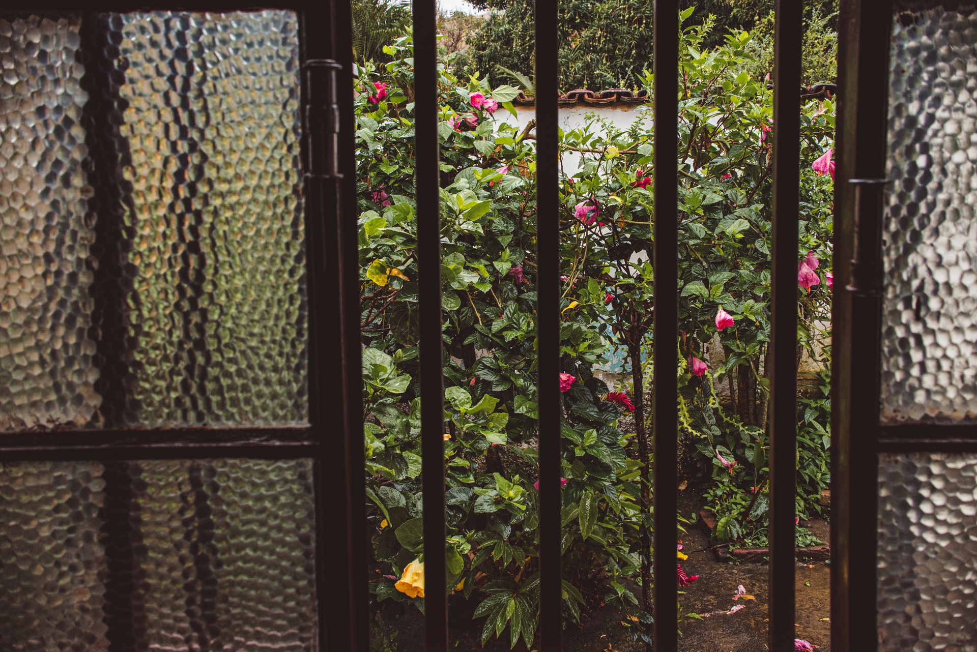 Documental dos meus avós - 2 - 20