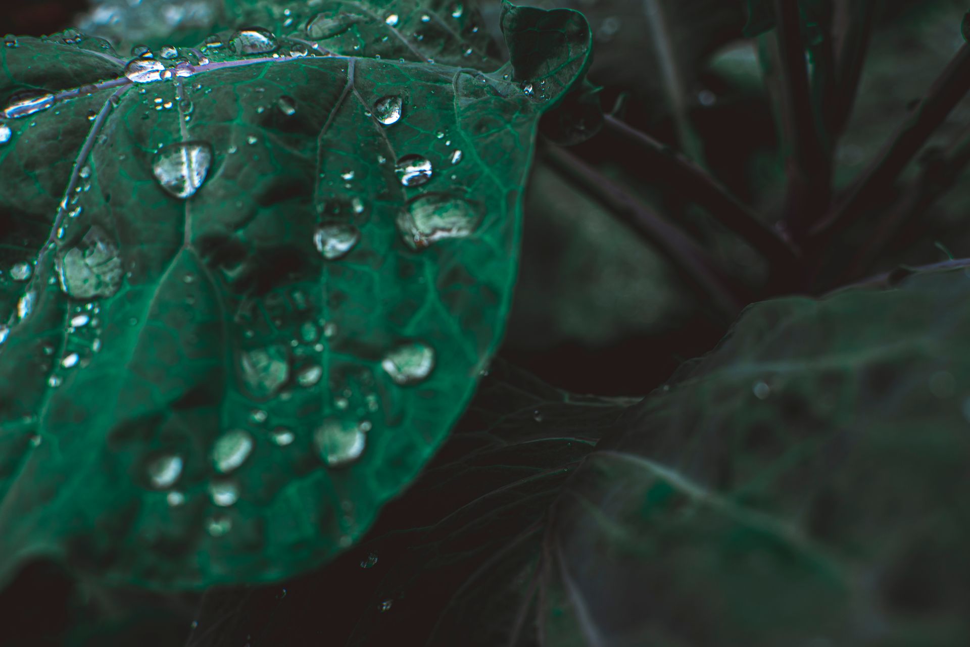 Documental dos meus avós - 2 - 43