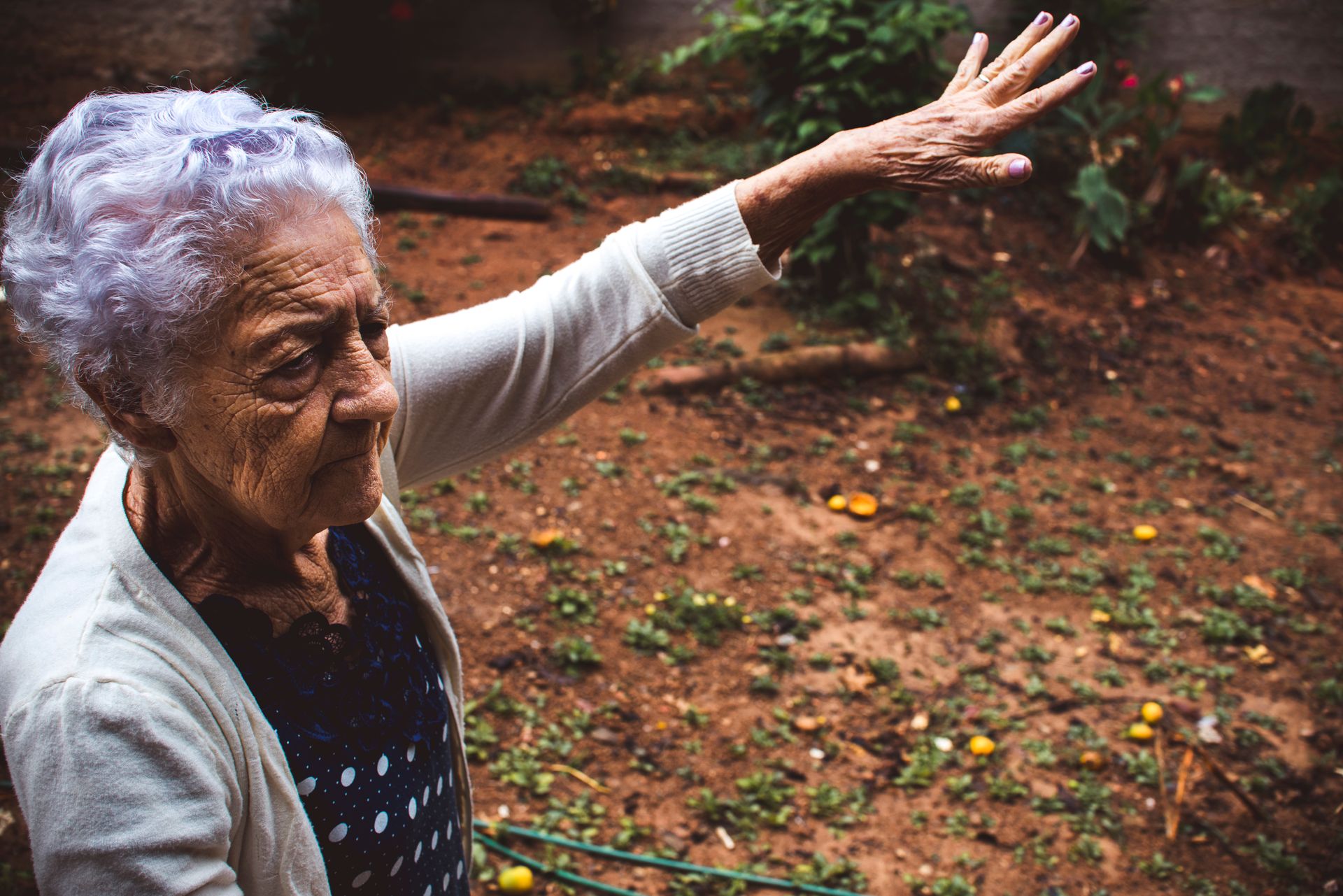 Documental dos meus avós - 2 - 50