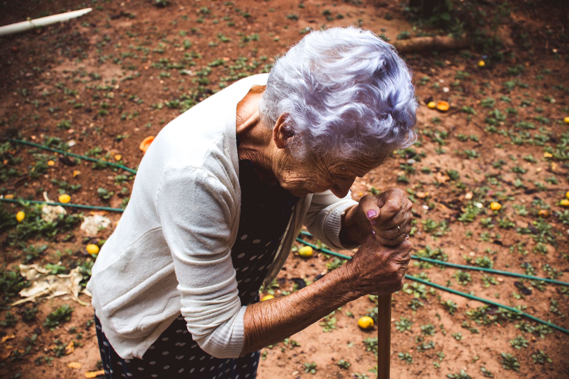 Documental dos meus avós - 2 - 51