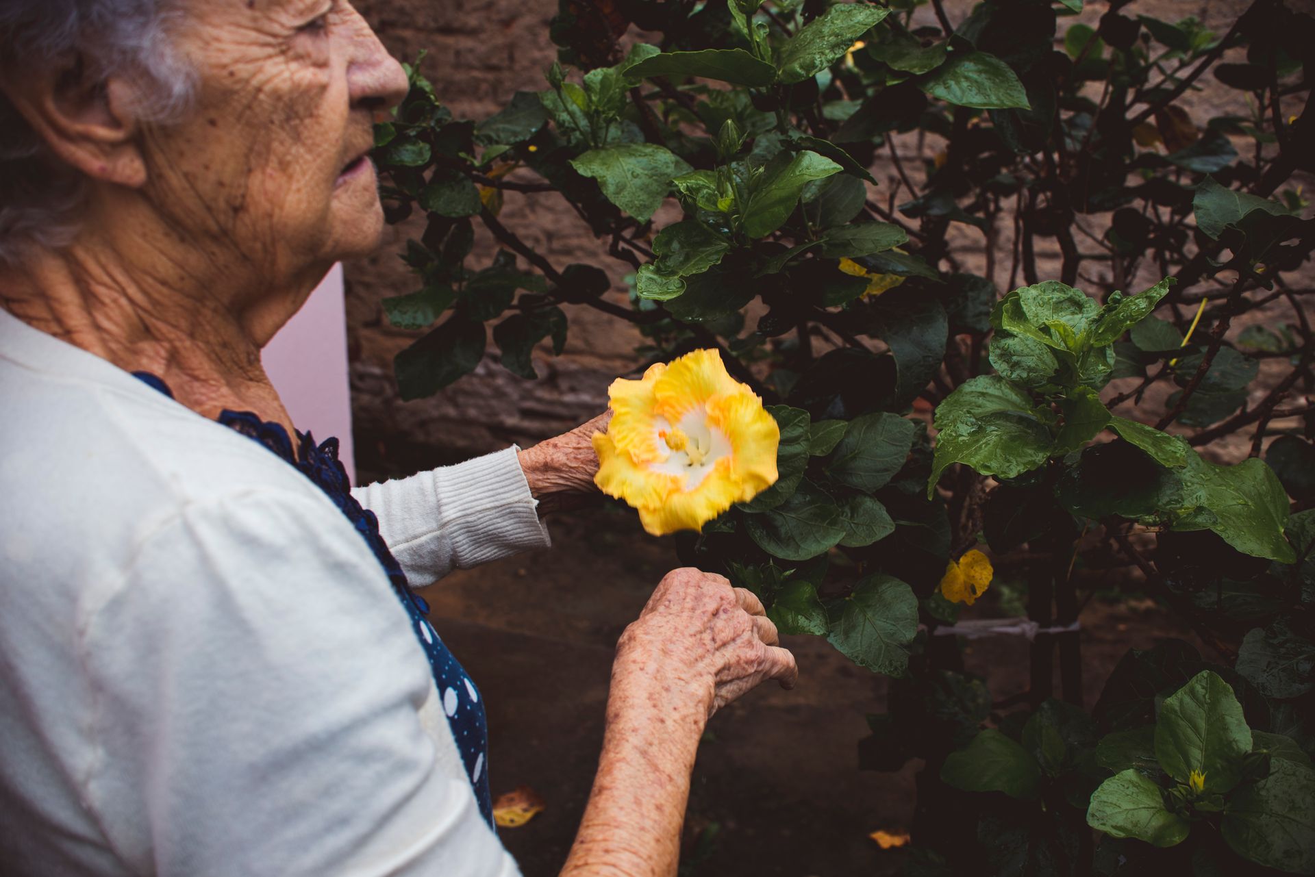 Documental dos meus avós - 2 - 57