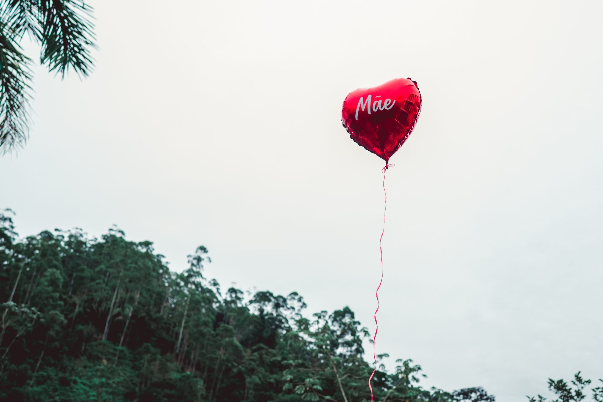 CASAMENTO NO SITIO FLORES BELA - 2 - 30