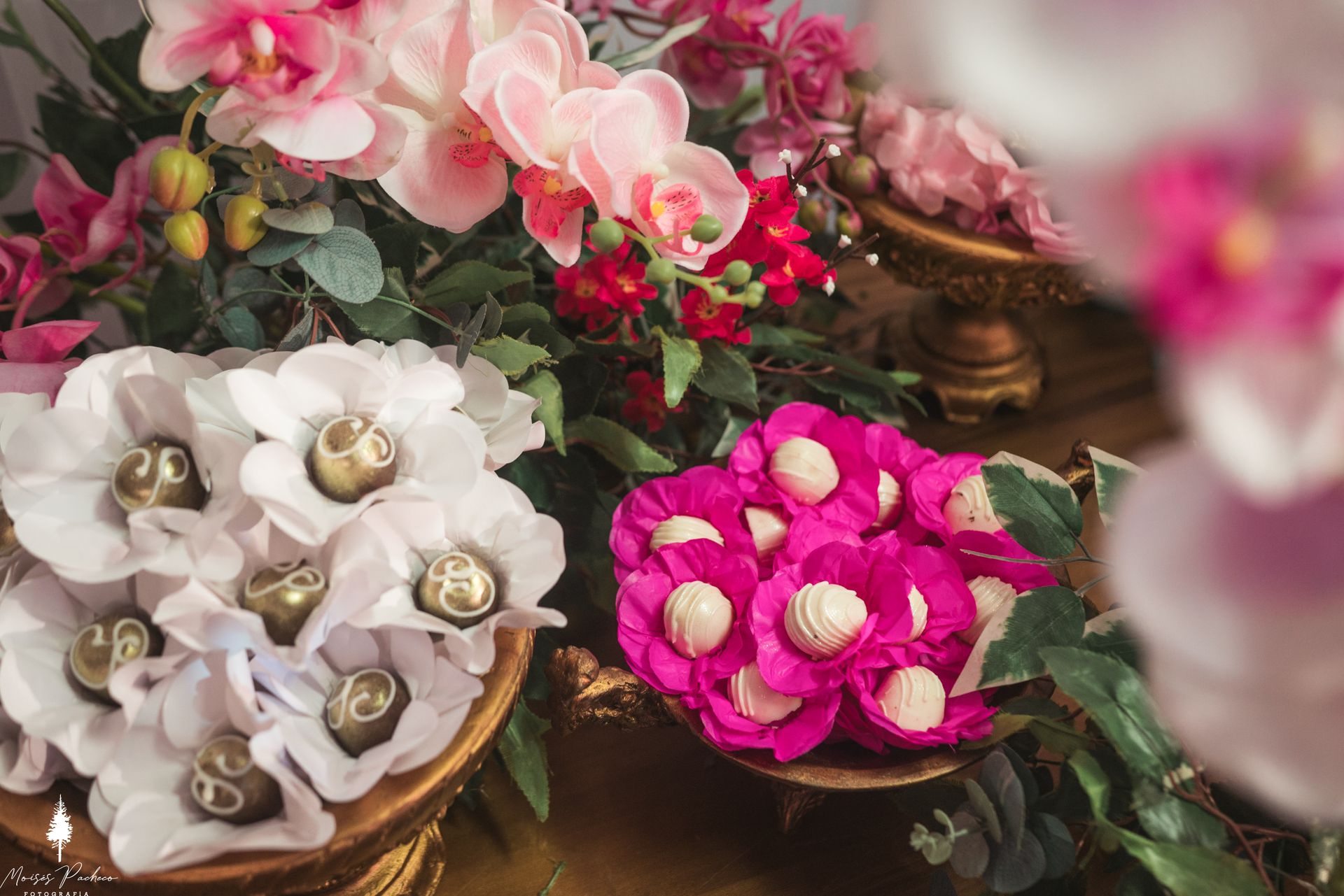 Festa de 15 anos em Coronel Fabriciano - 2 - 9