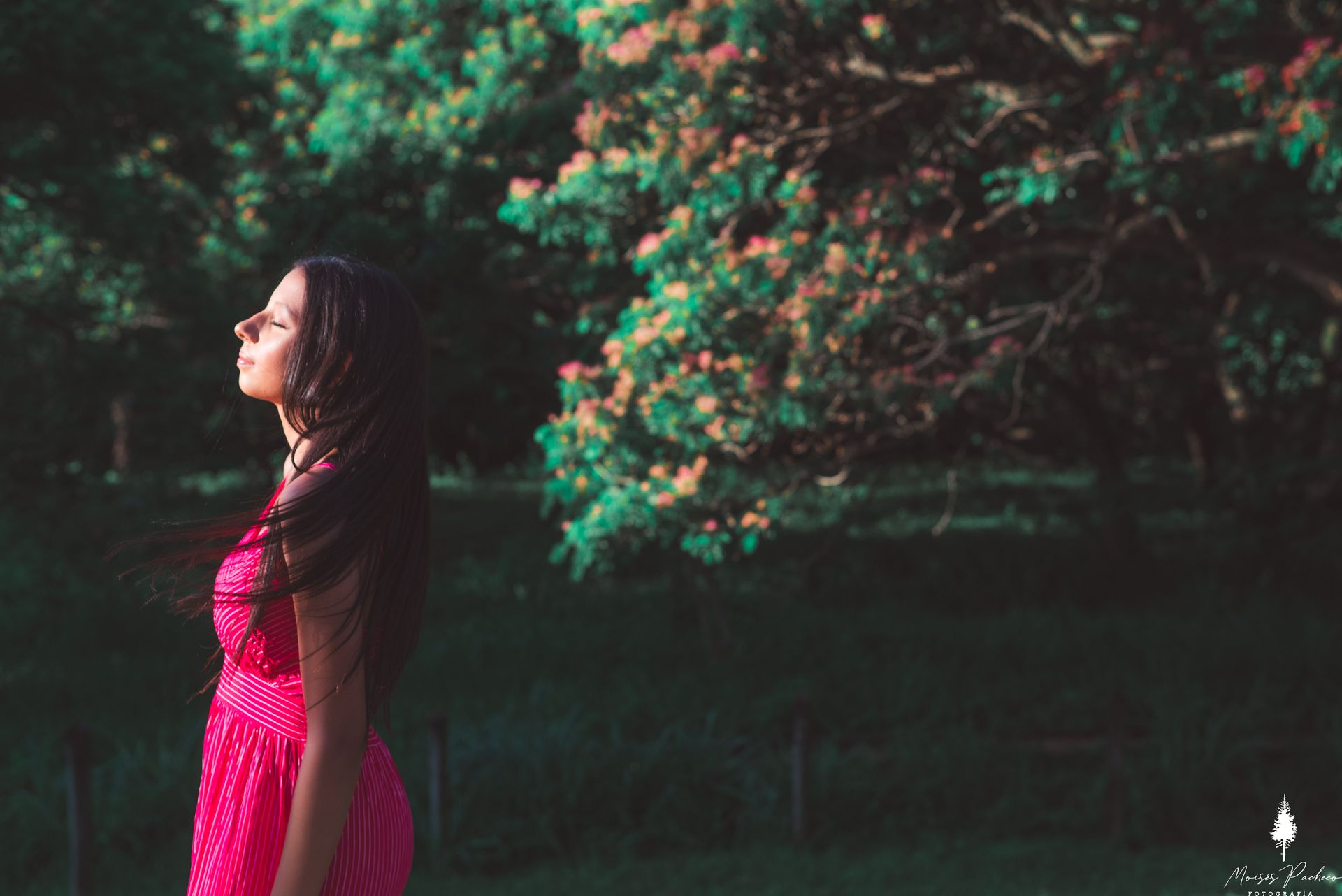 Ensaio de 15 anos no Parque Ipanema - 3 - 14