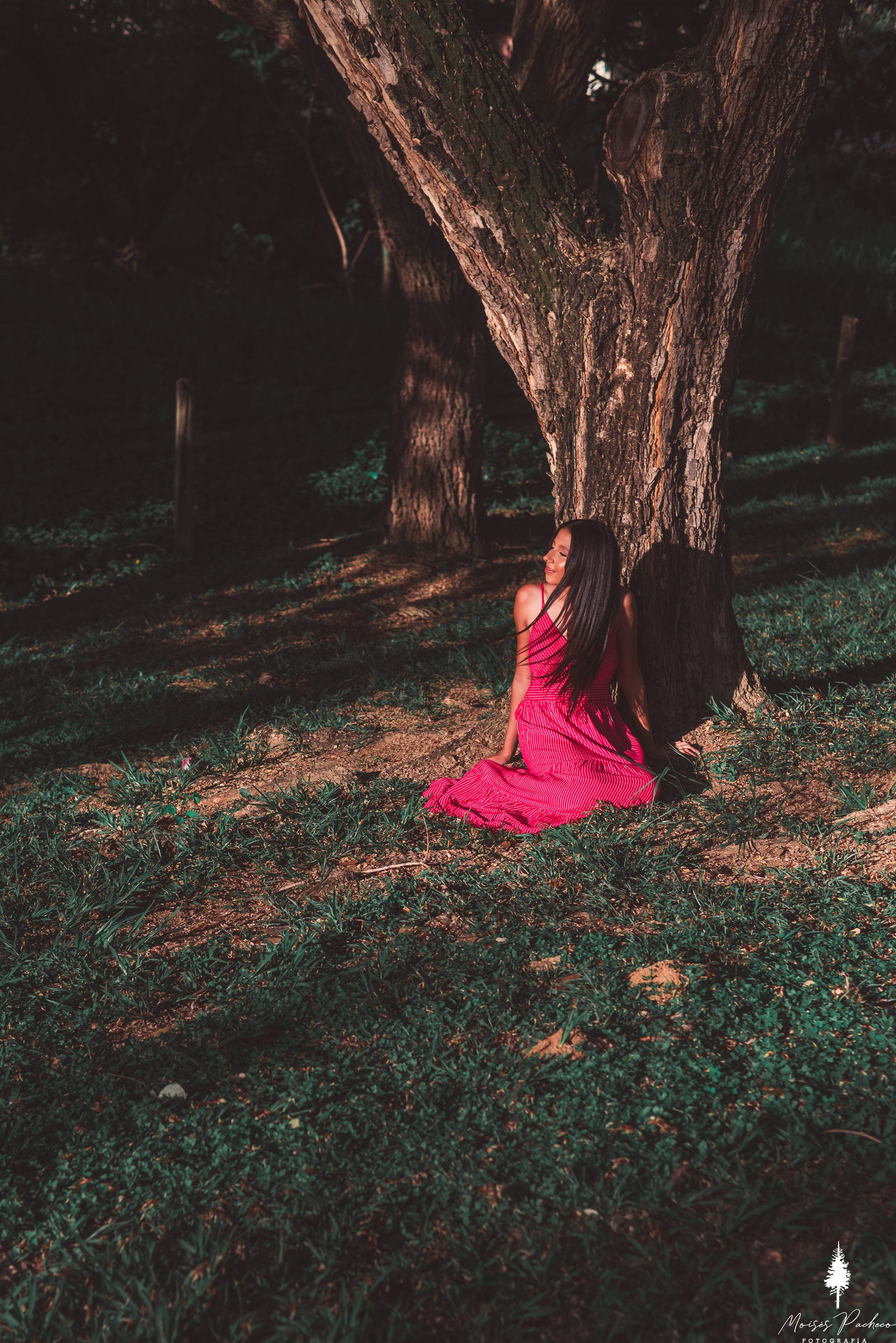 Ensaio de 15 anos no Parque Ipanema - 3 - 16