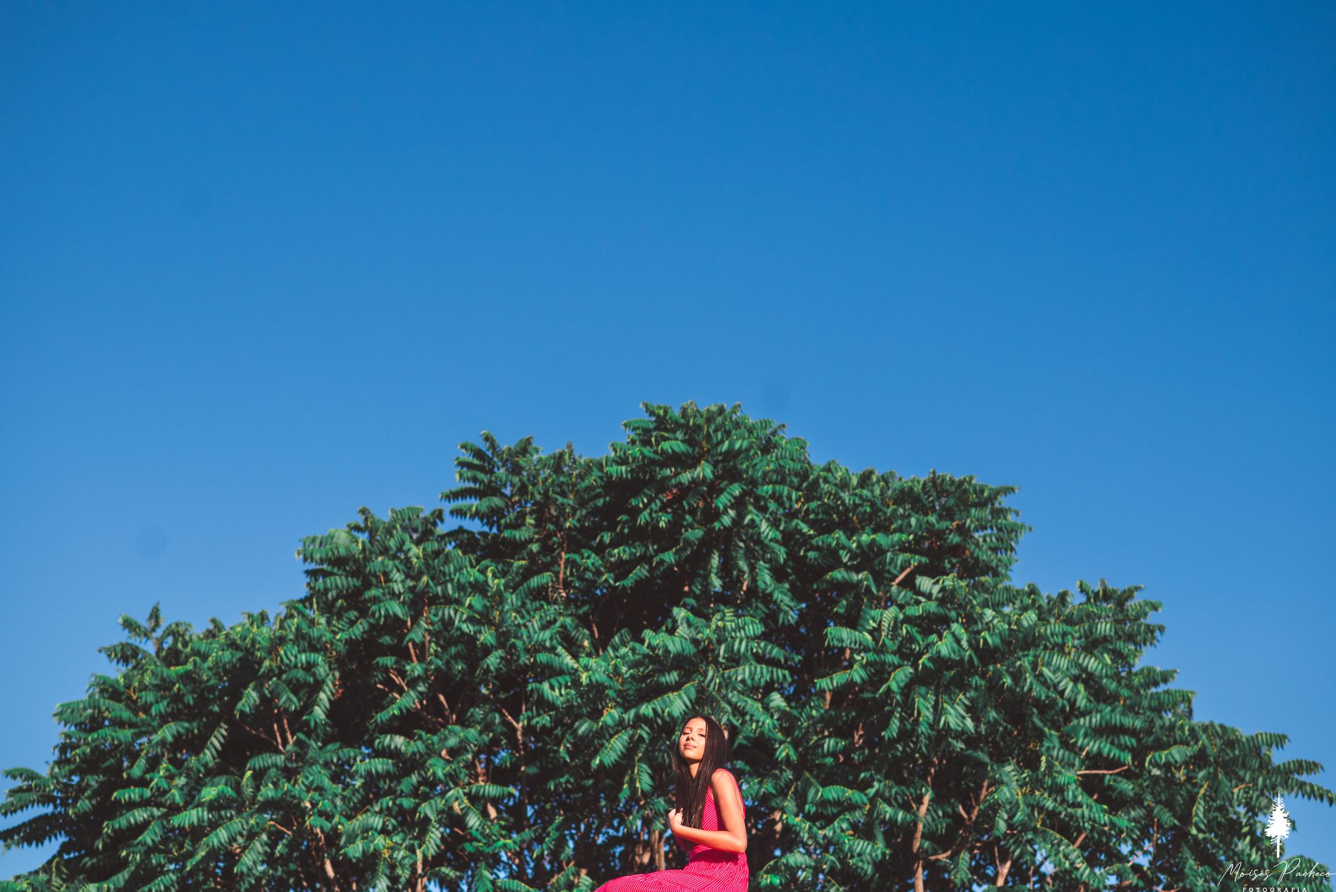 Ensaio de 15 anos no Parque Ipanema - 3 - 18