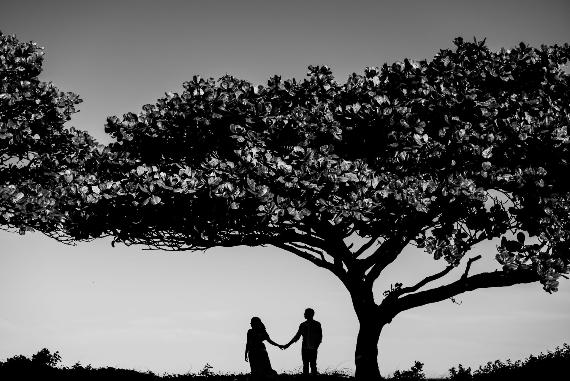 Moises Pacheco - 0 - 17