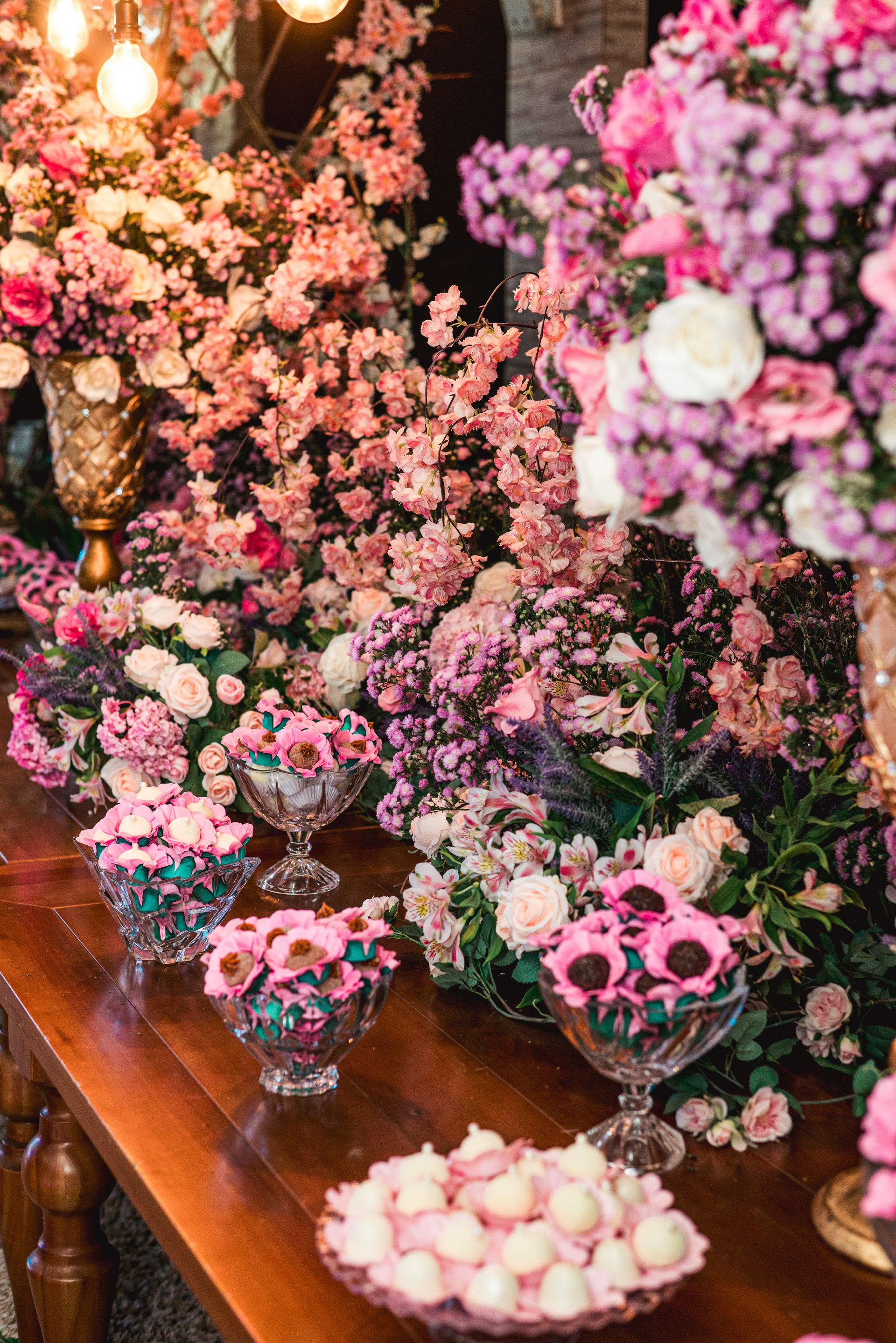 Festa de 15 anos no Sítio Recanto Verde - 2 - 4