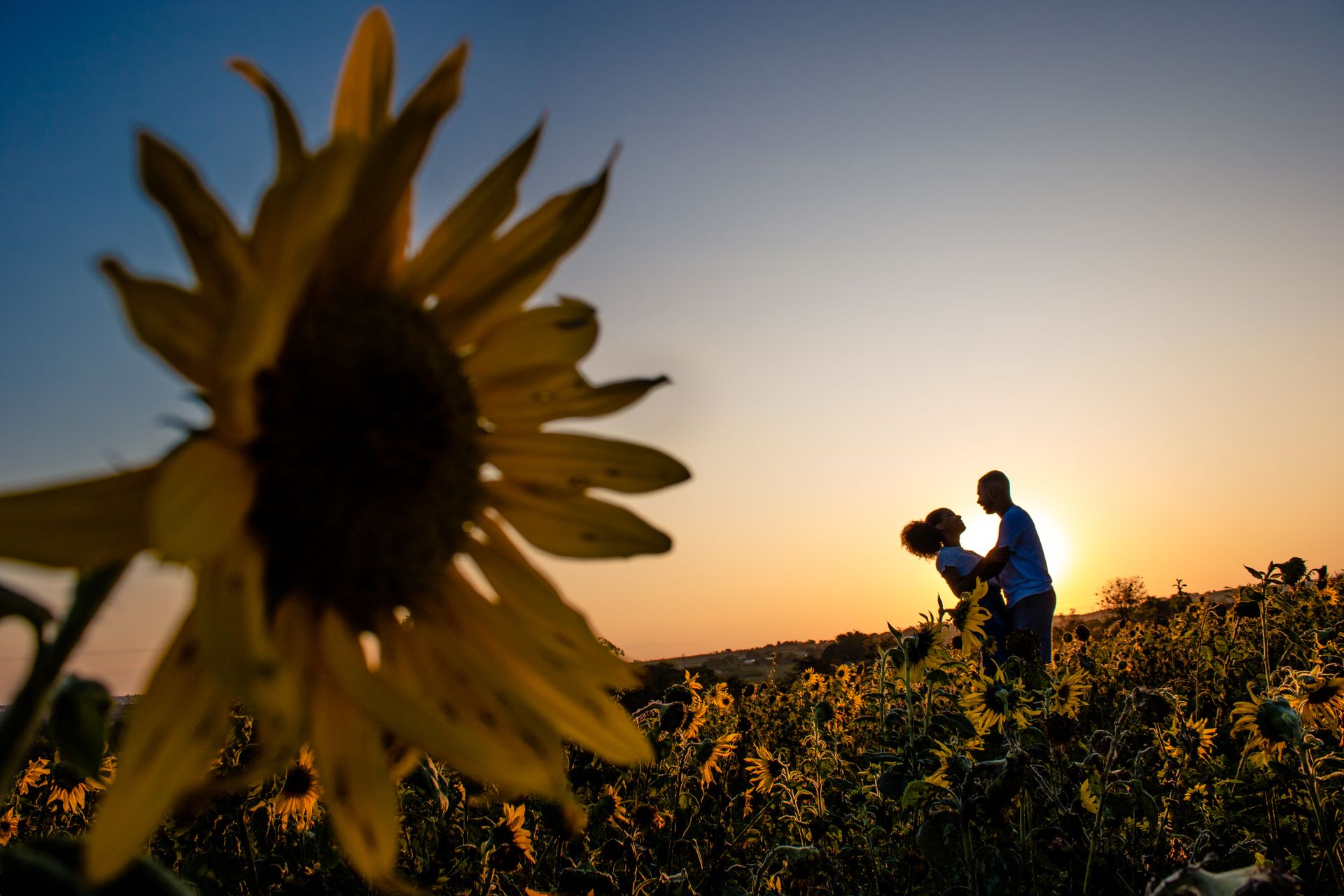 Seven IF Foto e Vídeo - Slide 8