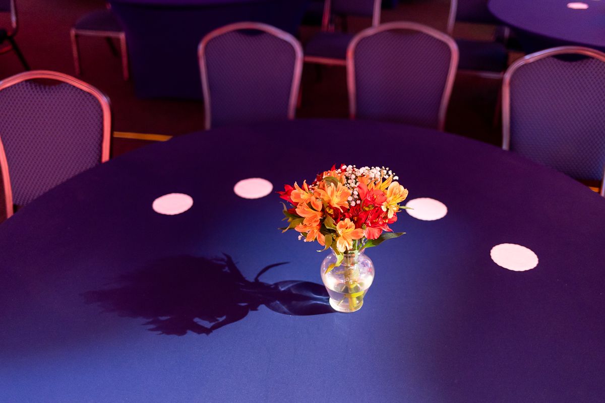 Liver TALKS - Zydus - GRAN Stanplaza Berini - SP - 2 - 4