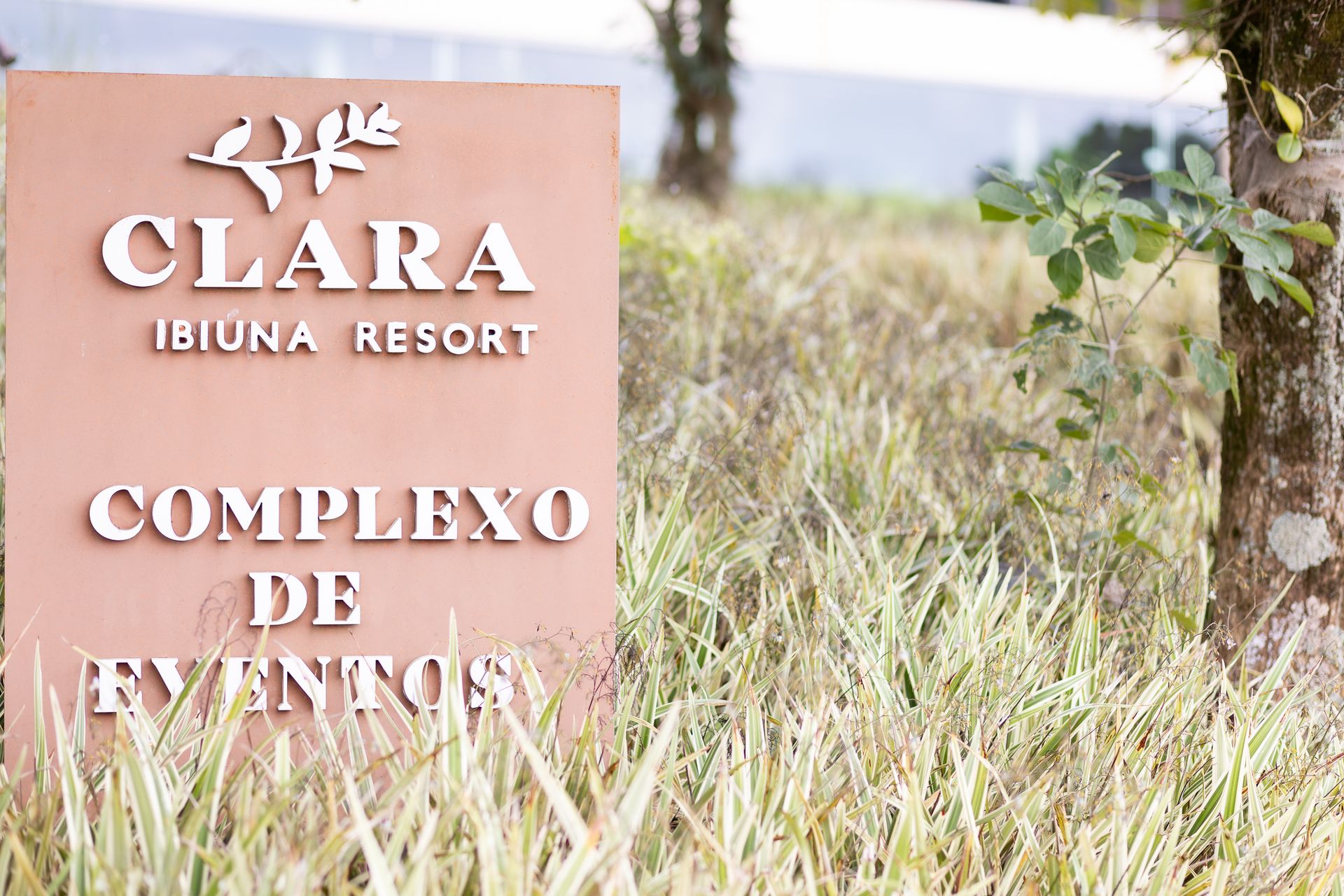 Record SUMMIT Percepções - 2 - 0