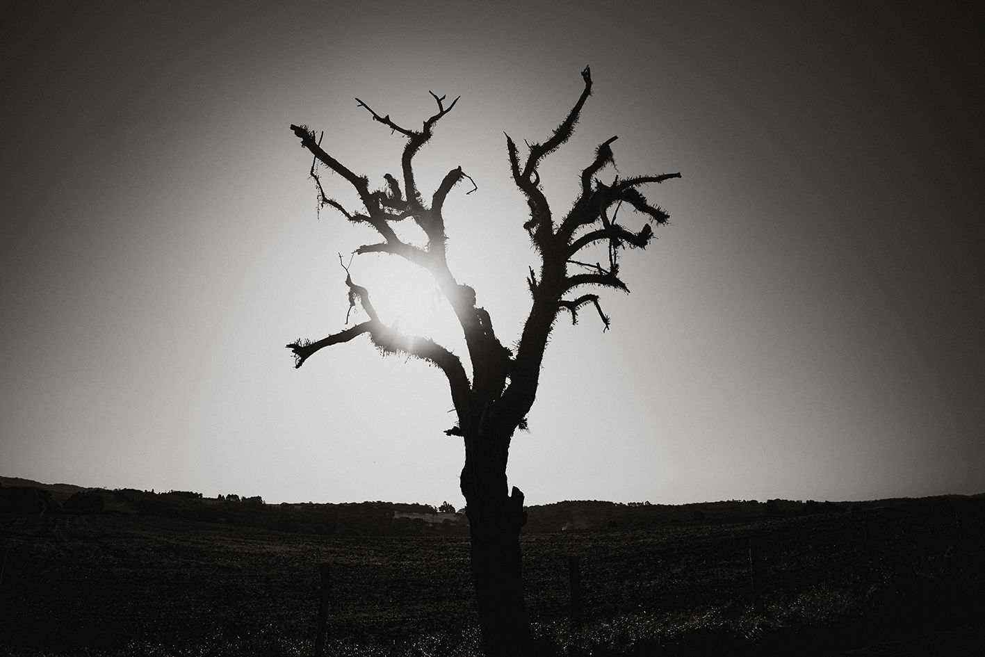 Na estrada... - 2 - 0