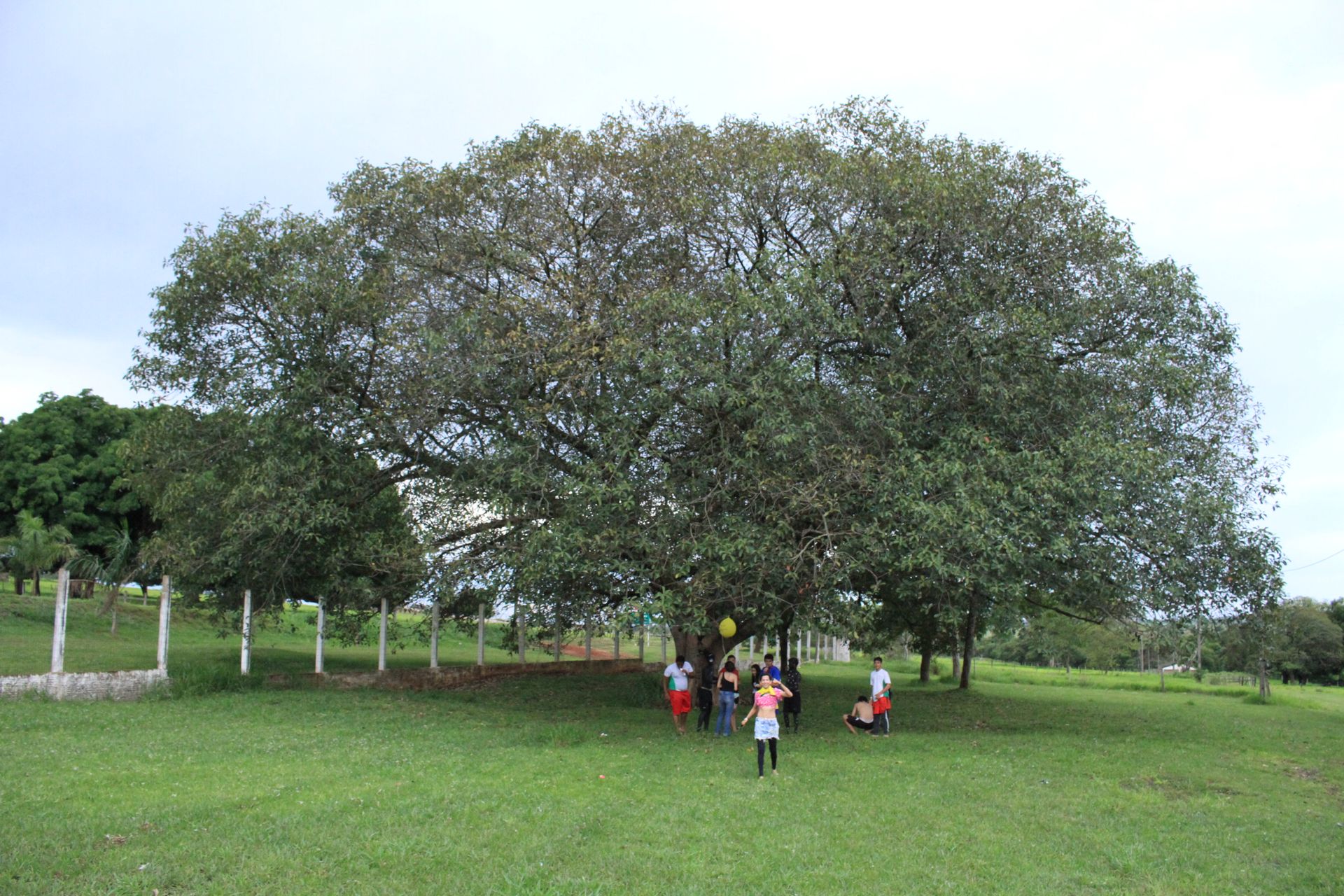 Festa da Integração dos 1º anos - 2 - 765