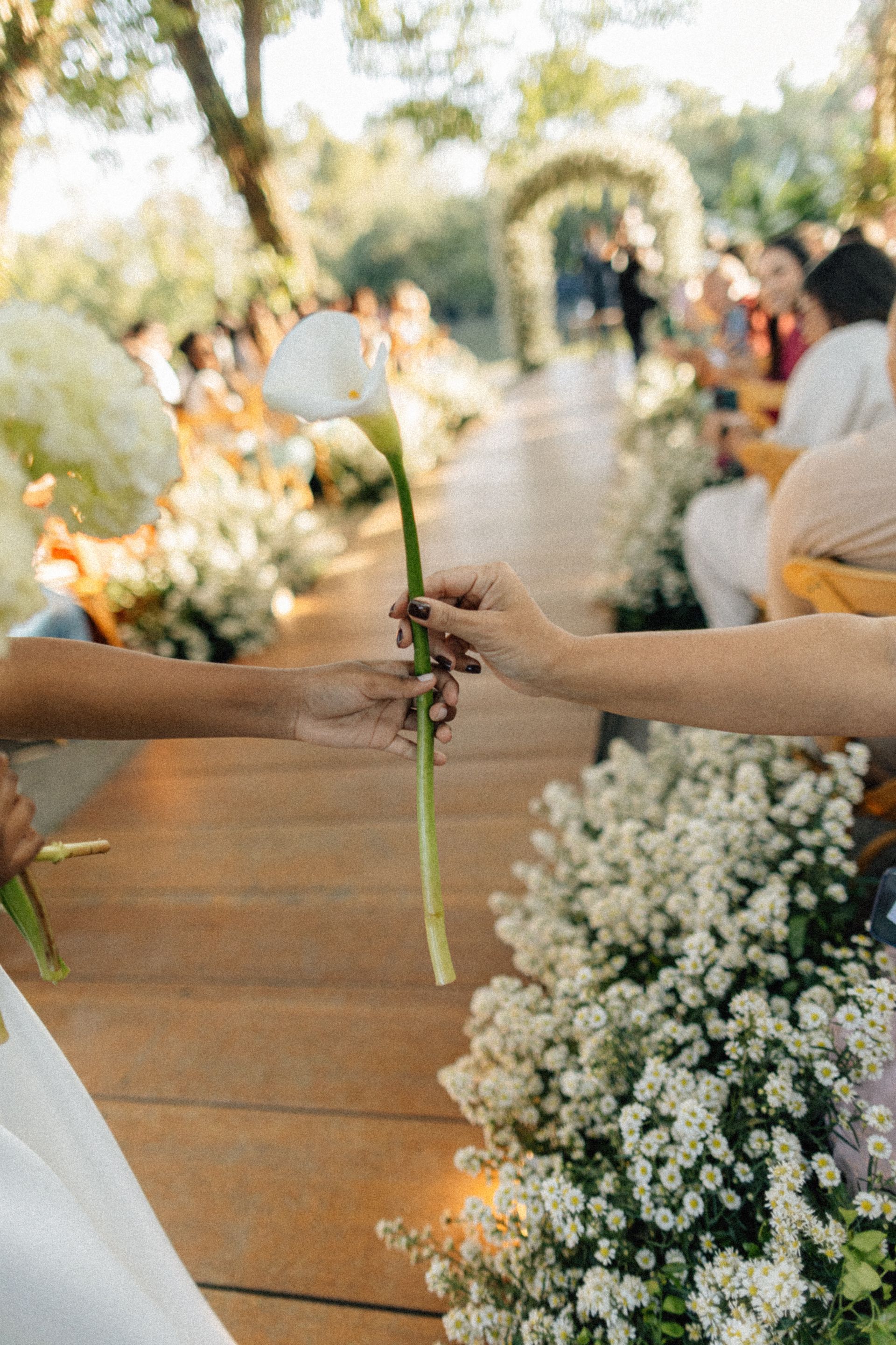 Casamento no Meio do Mato Eventos de Amanda e Antonio - 1 - 2
