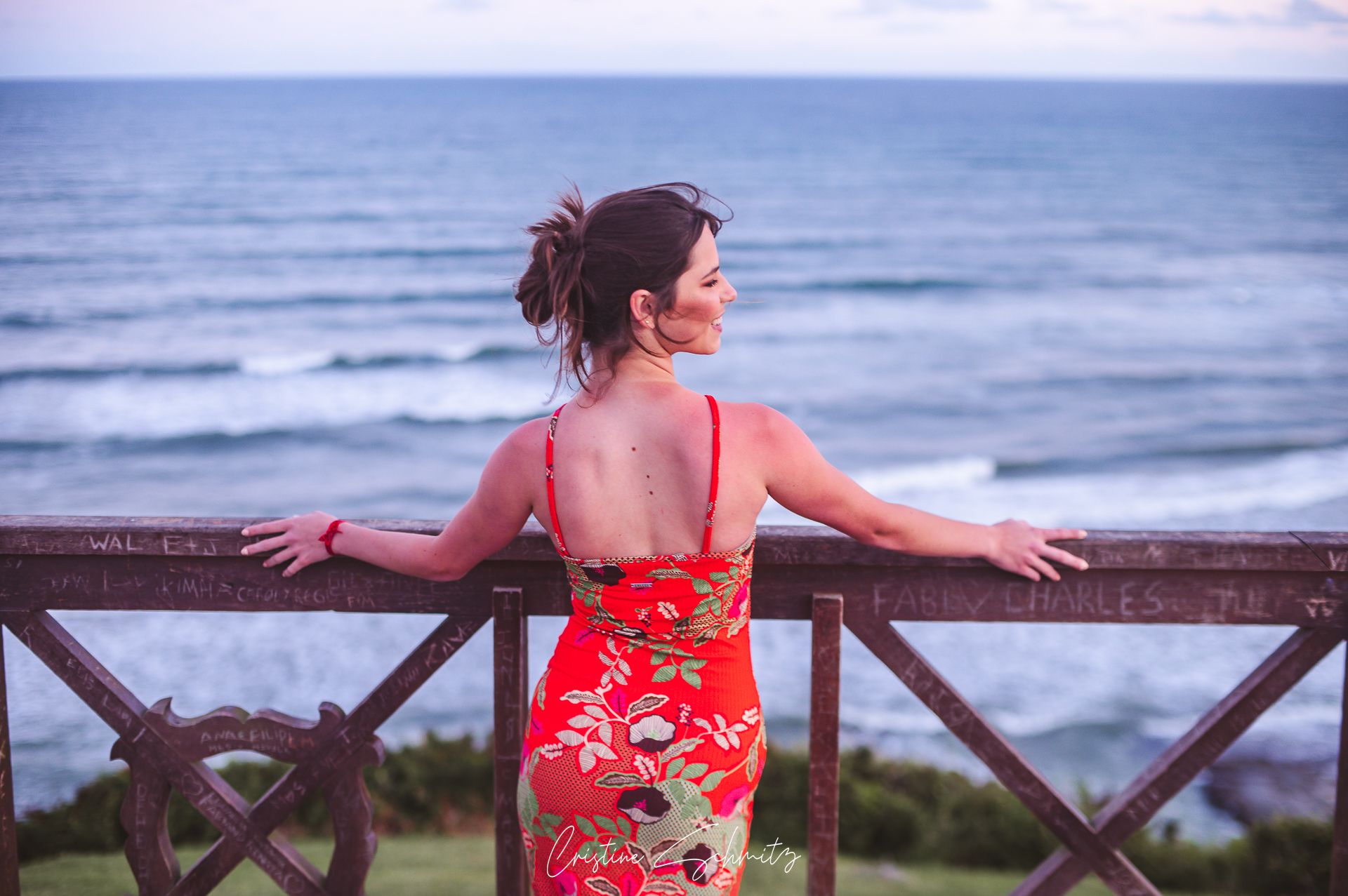 15 Anos Julia Seibel - Ensaio e Festa - 2 - 1