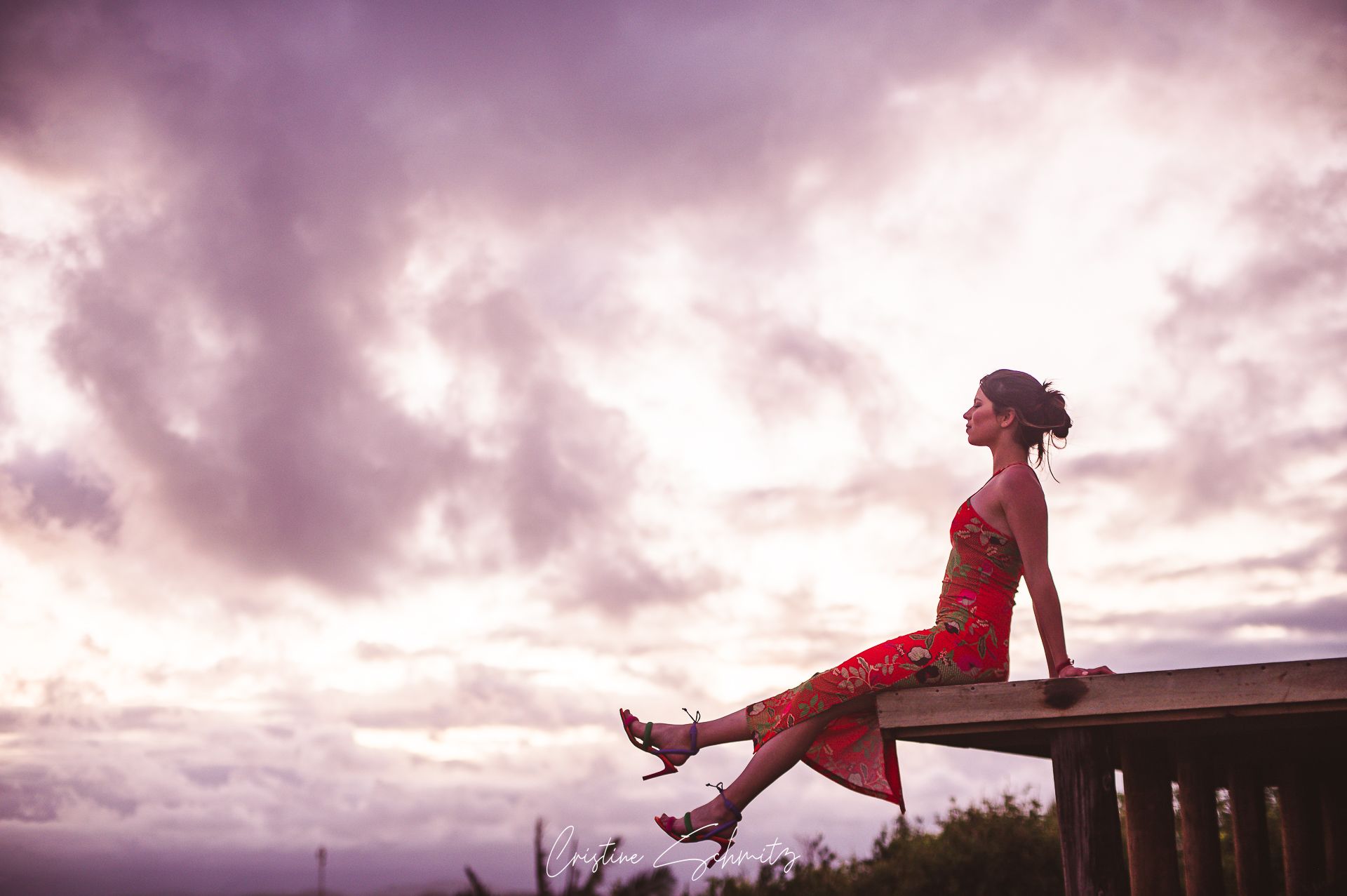 15 Anos Julia Seibel - Ensaio e Festa - 2 - 3