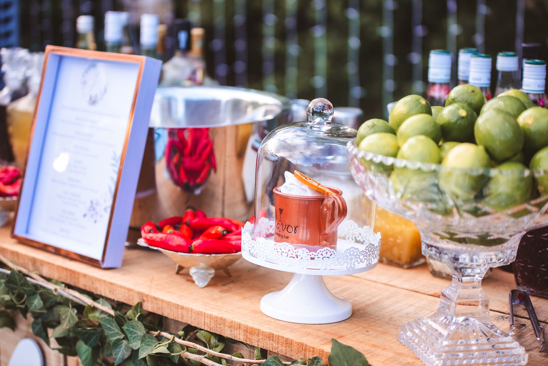 15 Anos Julia Seibel - Ensaio e Festa - 2 - 0