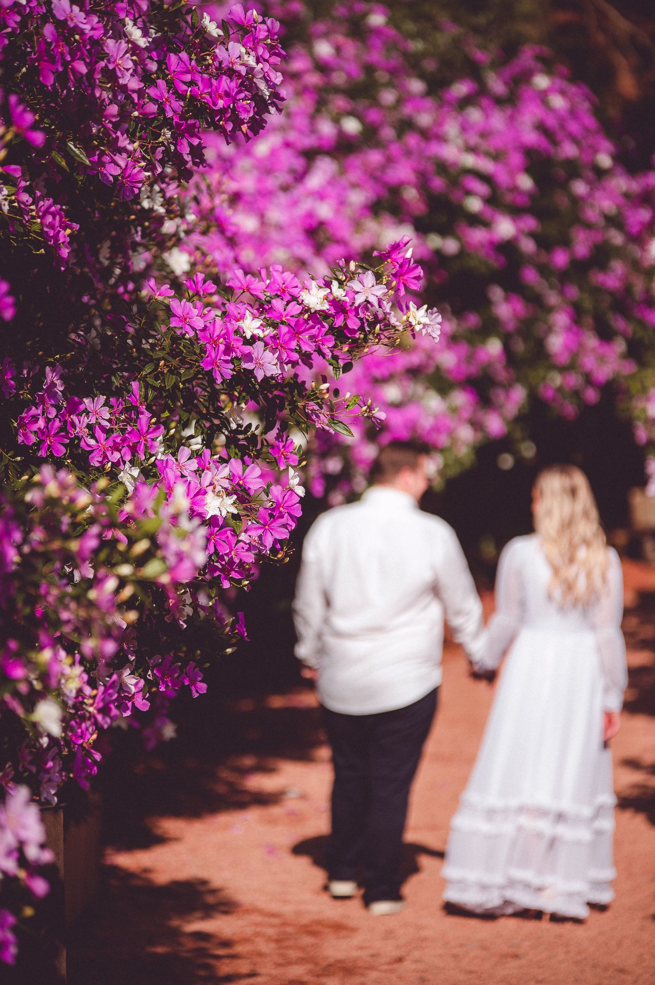 Ensaio Pré Casamento Pâmila e Felipe - Garden Park Gramado-RS - 2 - 0
