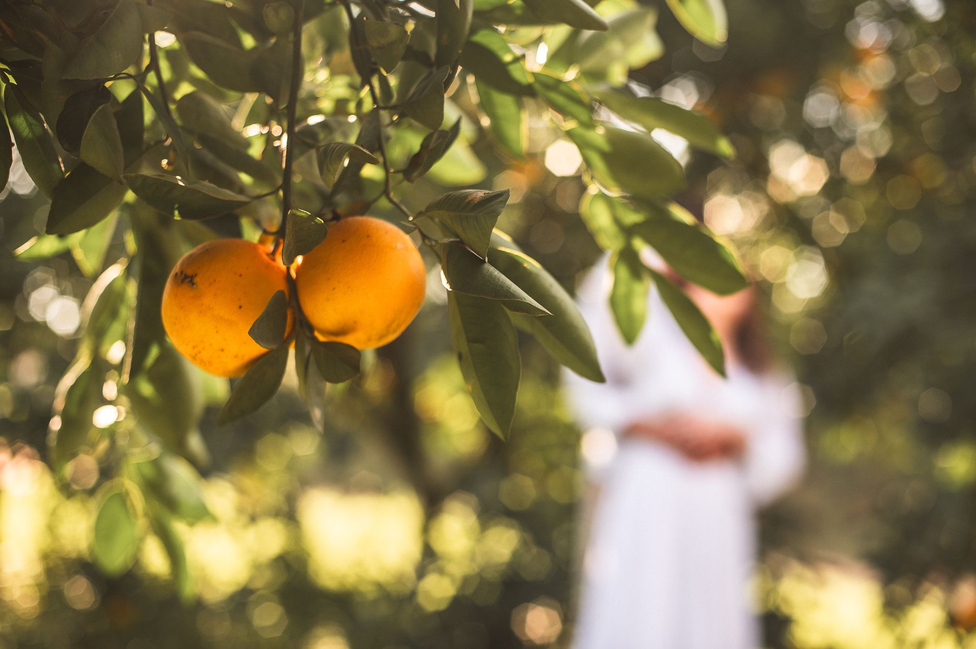 Ensaio Pré Casamento Denise e Vinícios Ninho das Águias - Nova Petrópolis - 2 - 0