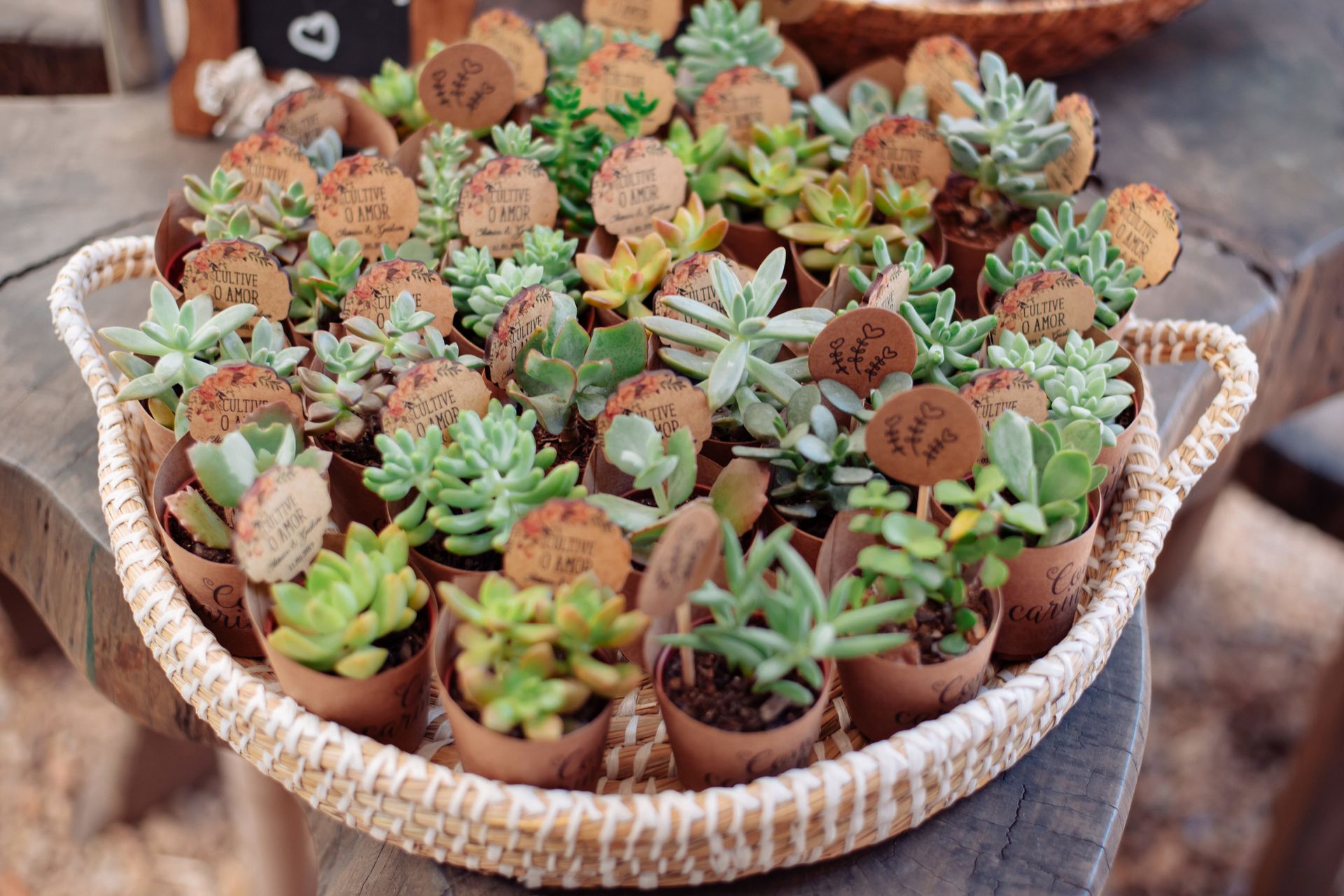 Casamento Civil em Jundiaí - SP (Mônica + Gustavo) - 1 - 154