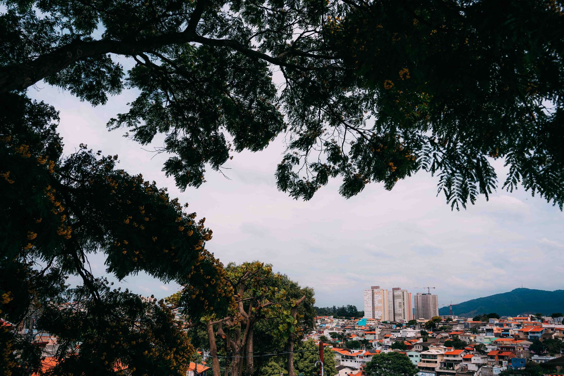 Monise + Murilo - Casamento - 2 - 0