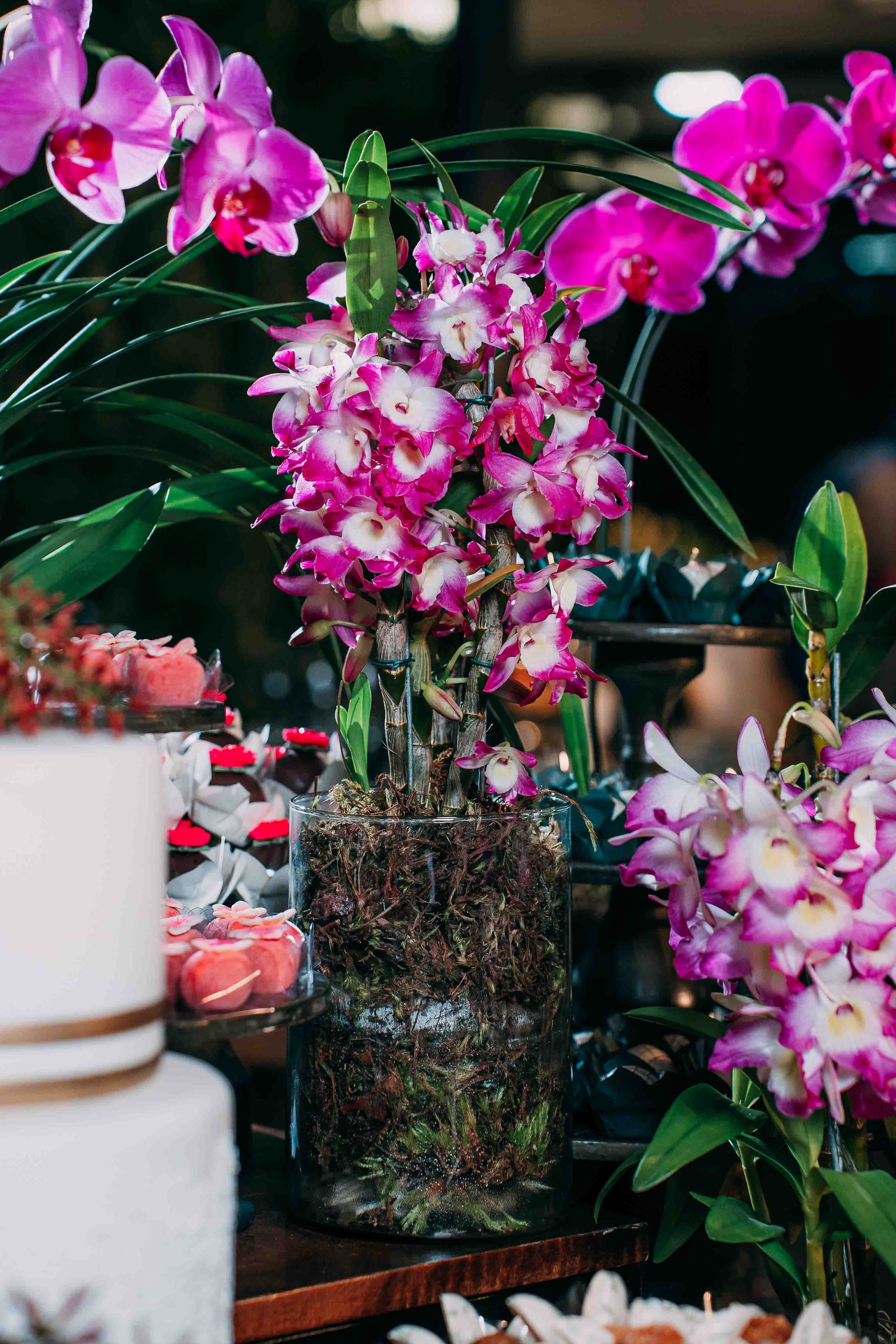 Monise + Murilo - Casamento - 2 - 154