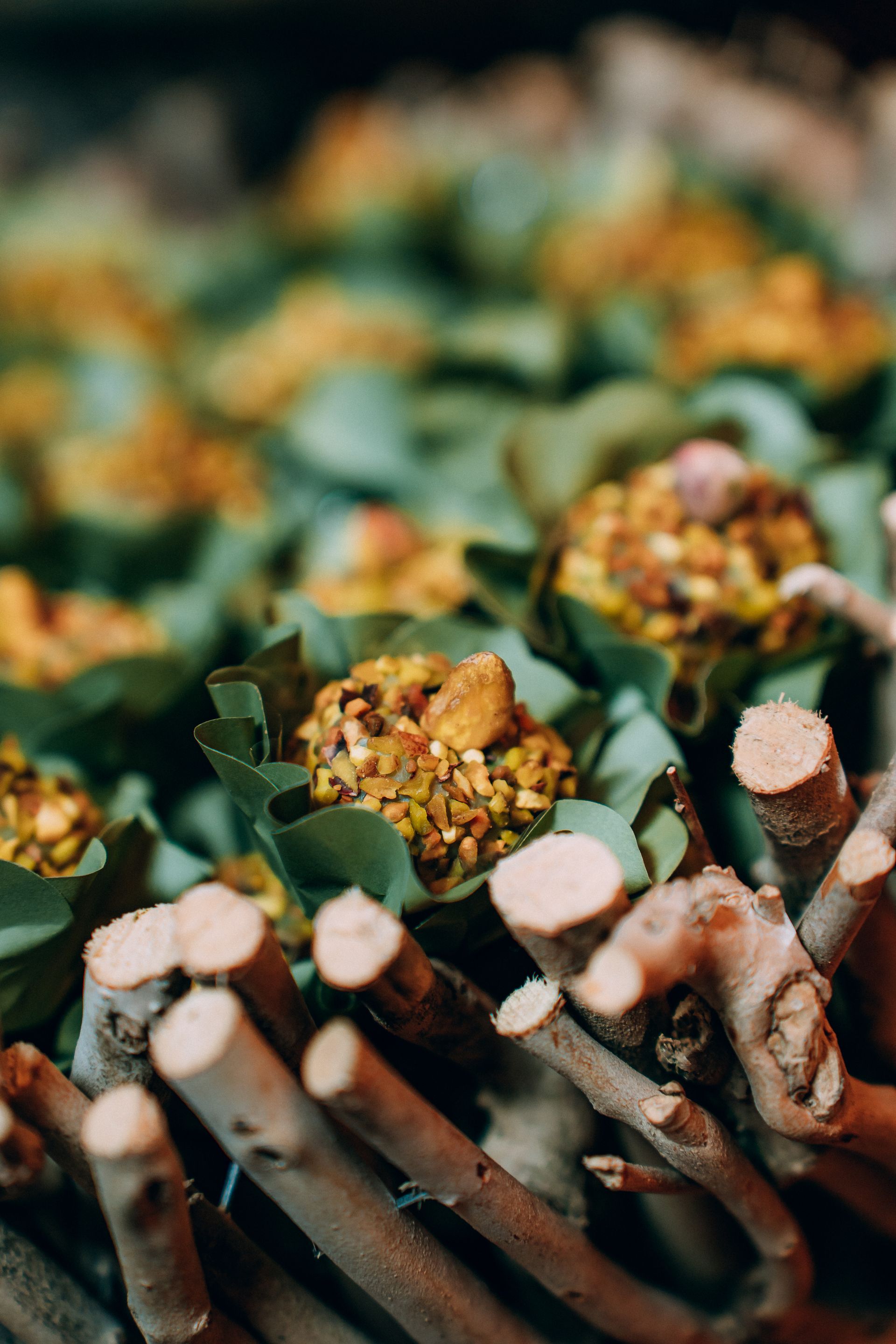Casamento na Fazenda Quinta dos Pinheiros - 2 - 210