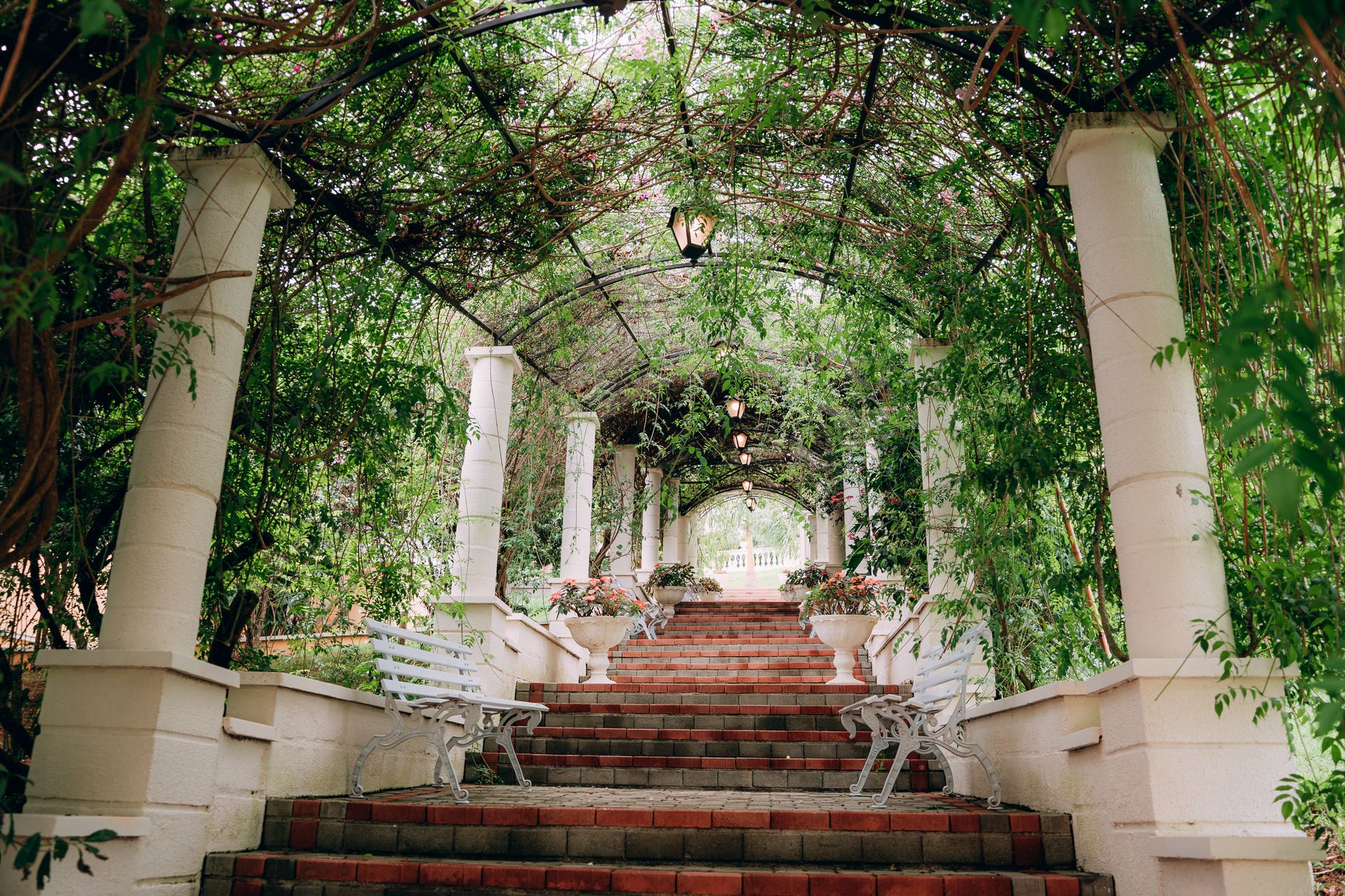 Casamento na Fazenda Quinta dos Pinheiros - 2 - 1