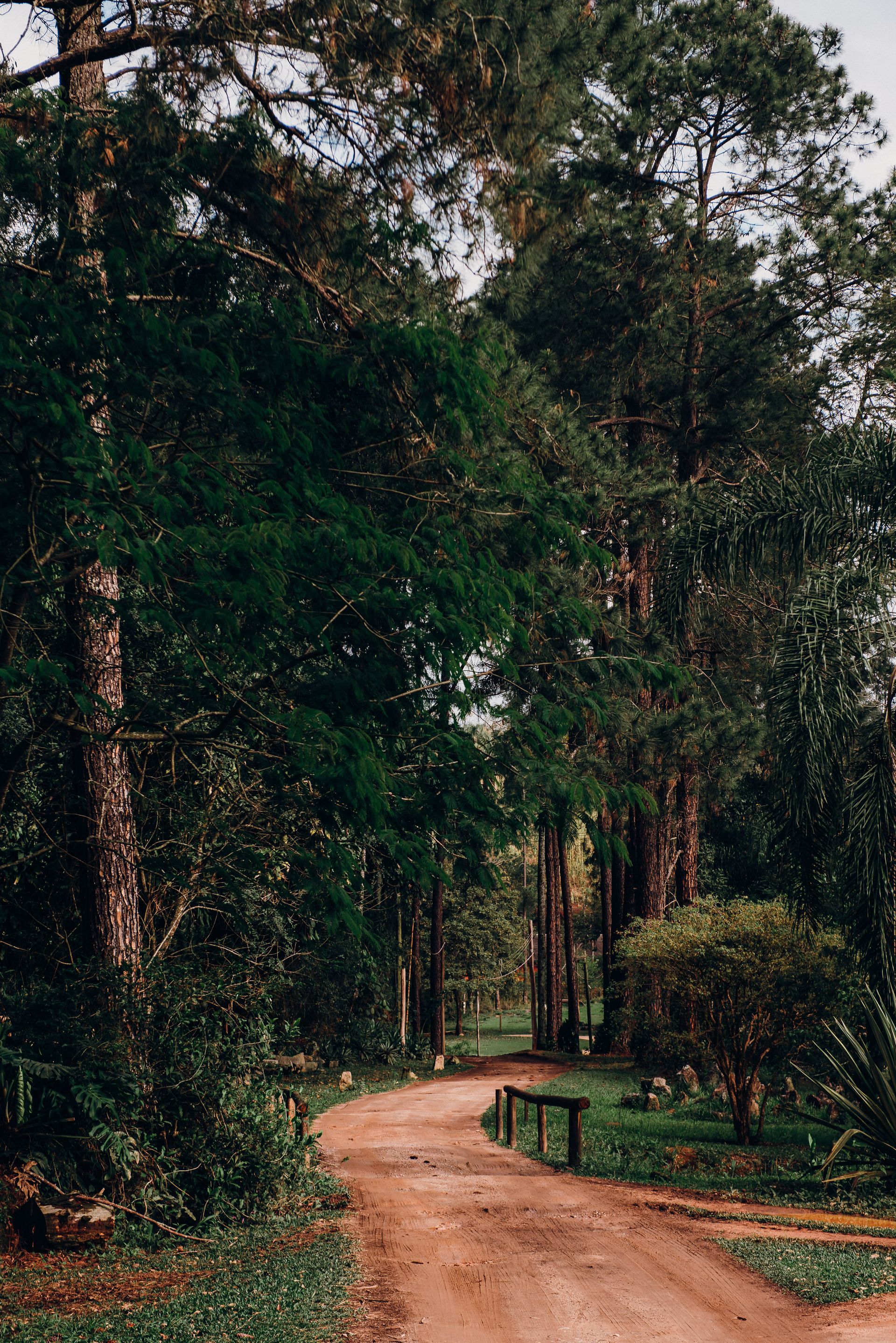 Jéssica + Danner - Casamento na Fazenda Montanhas do Japi - 2 - 124