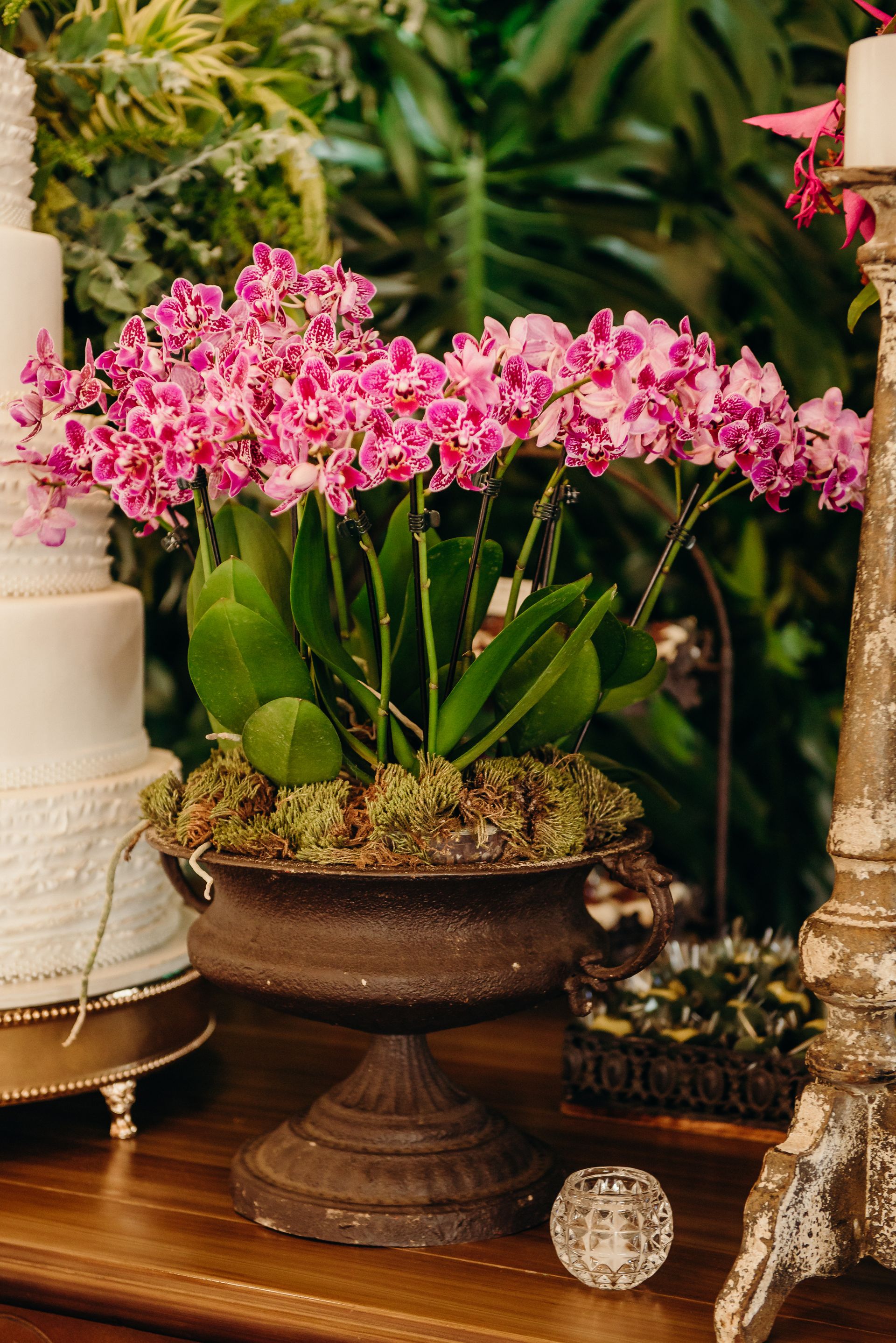 Nanda + Thales - Fazenda Quinta dos Pinheiros - 2 - 123