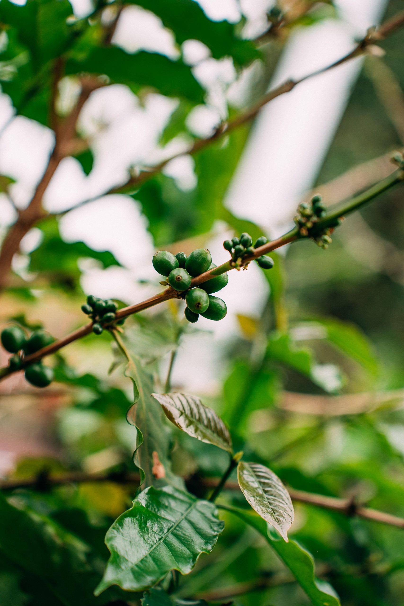 Casamento na Fazenda Quilombo - 2 - 7