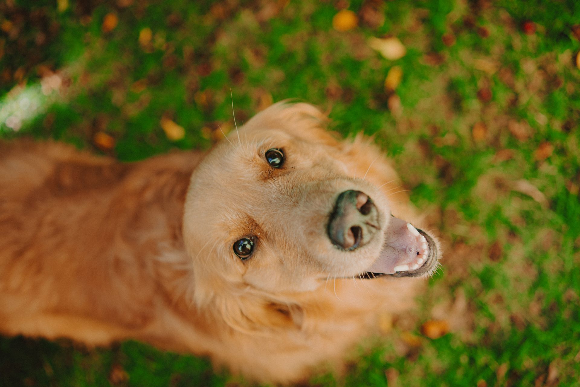 Ensaio Familia em casa - 4 - 2