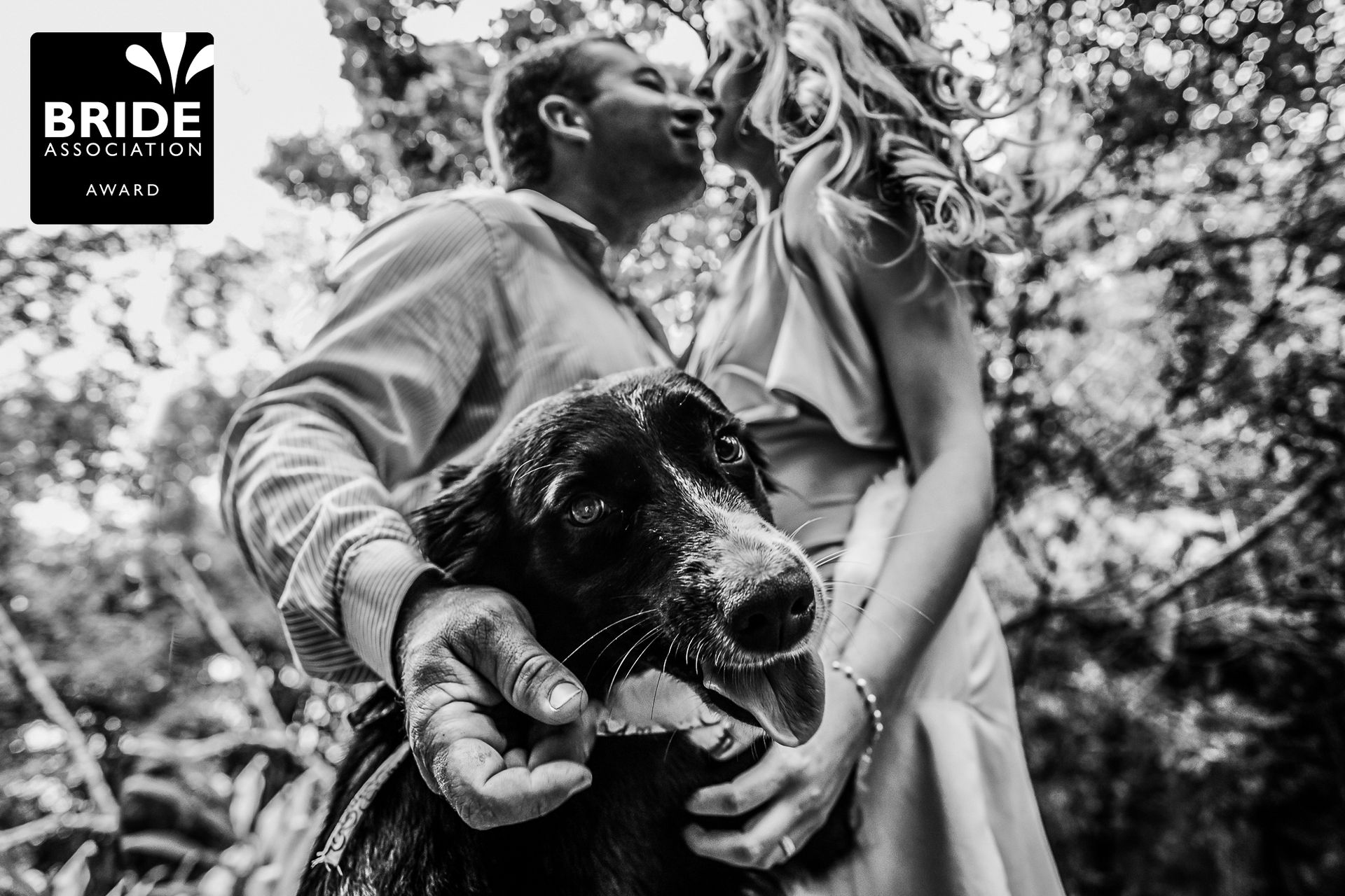 Fotógrafa de Casamentos, Eventos e Momentos em Família - 1 - 2