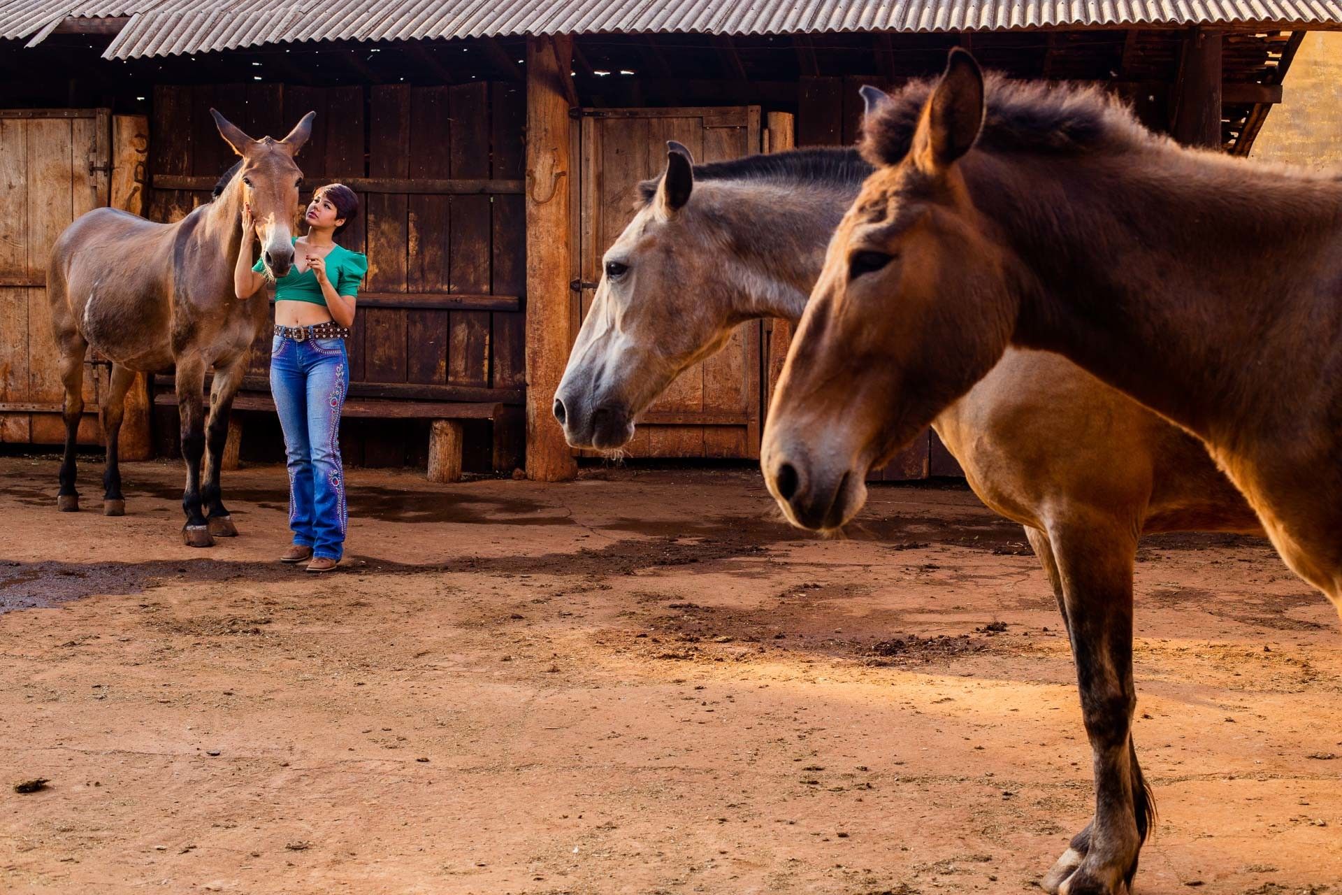 Dia de Haras com a Muriel em Itamogi MG - 2 - 5