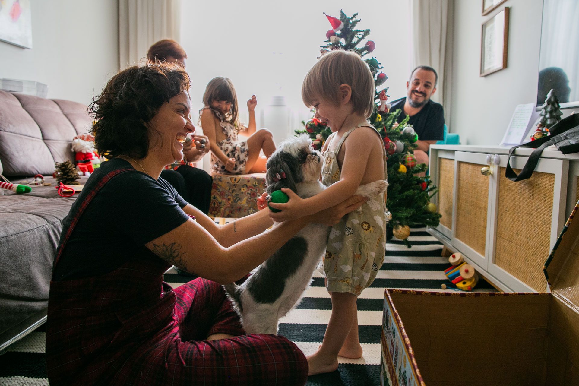 Montando a Árvore de Natal com a família da Josy em São Paulo SP - 2 - 9