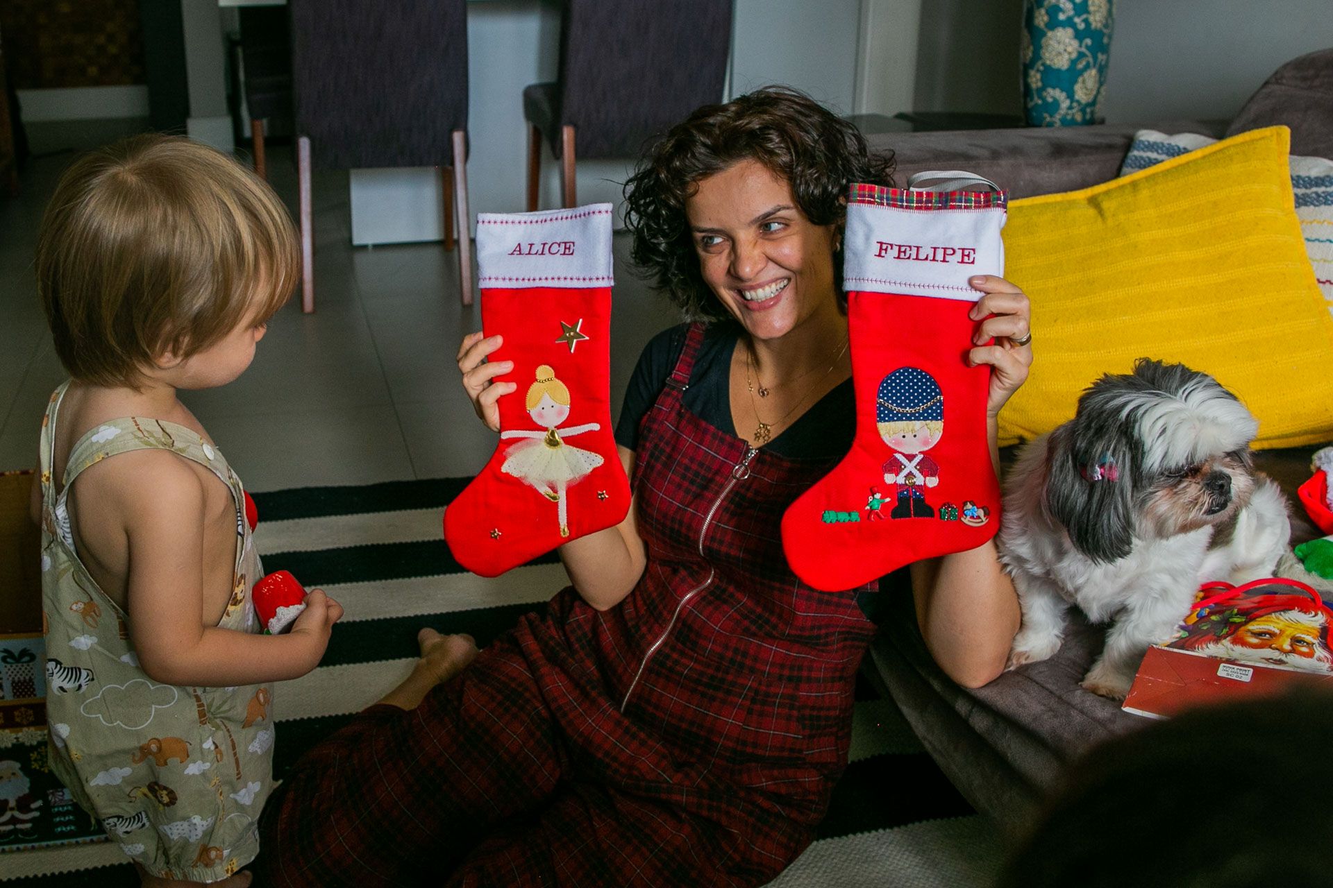 Montando a Árvore de Natal com a família da Josy em São Paulo SP - 2 - 6