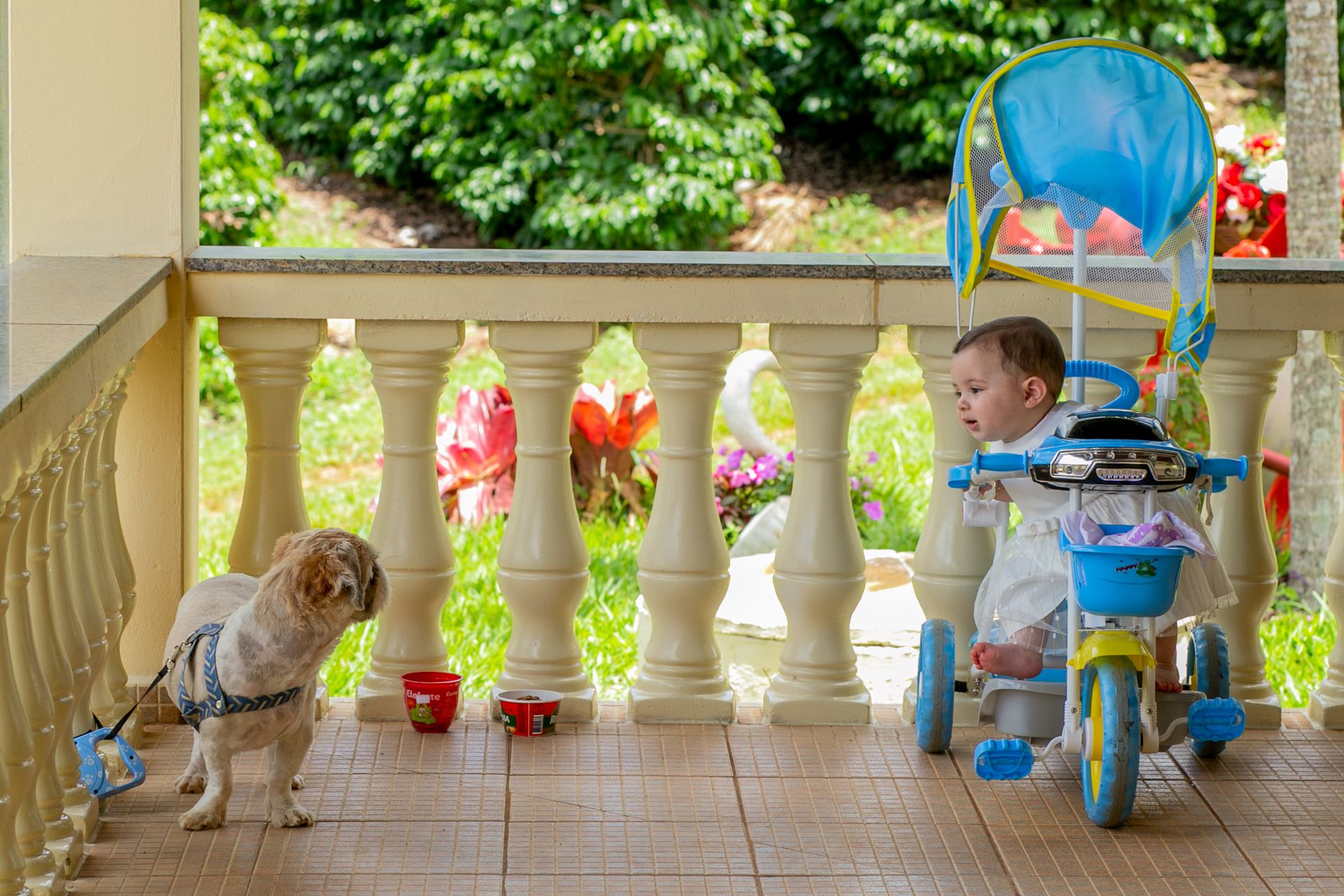 Batizado Elisa e Joaquim em Itamogi MG - 2 - 37