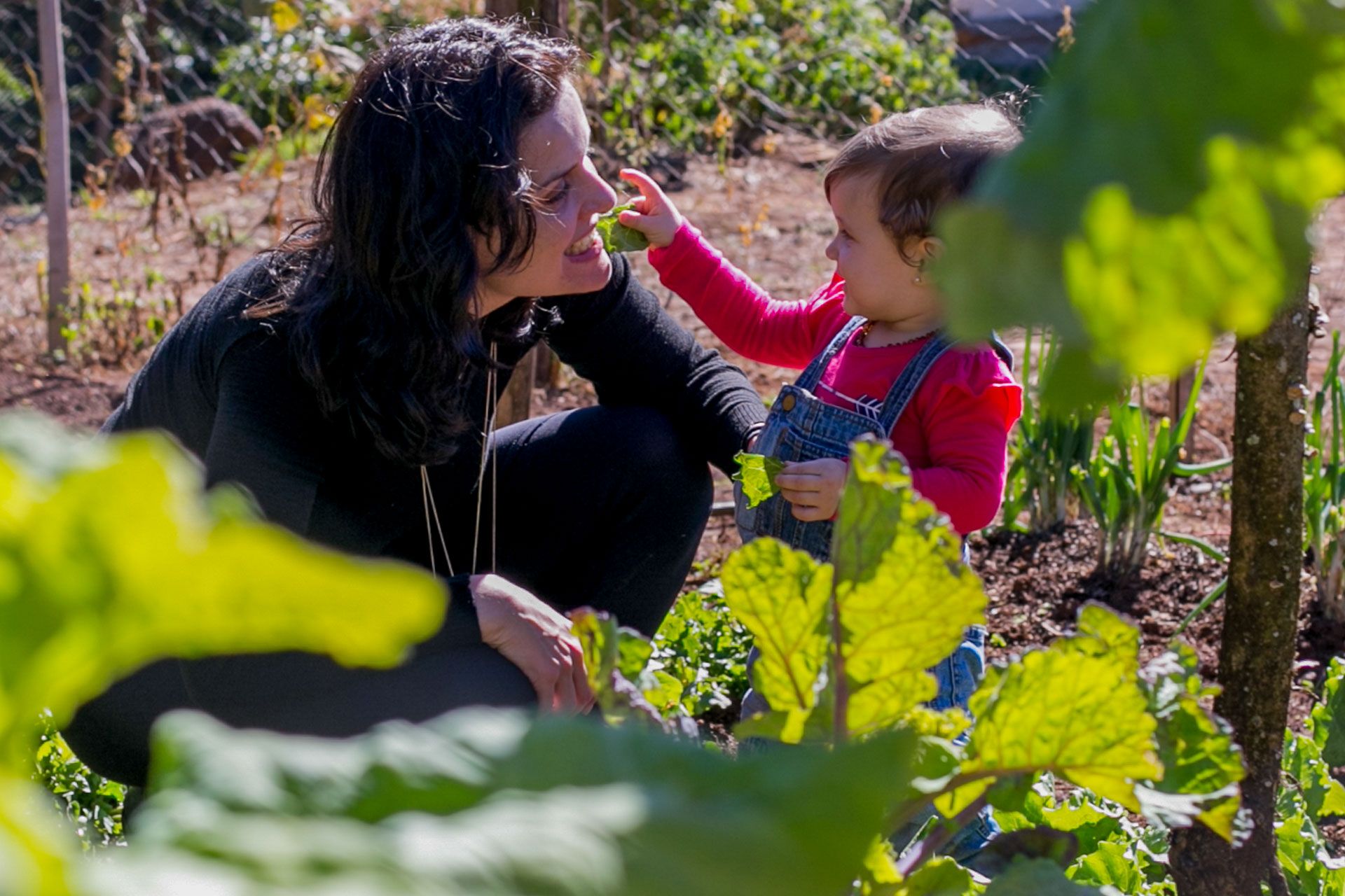 Experiências de Alice em Itamogi MG - 2 - 5