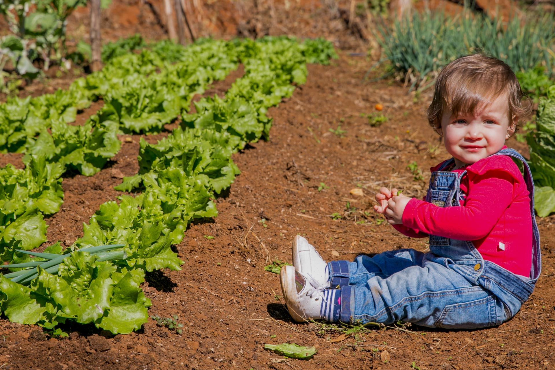 Experiências de Alice em Itamogi MG - 2 - 8