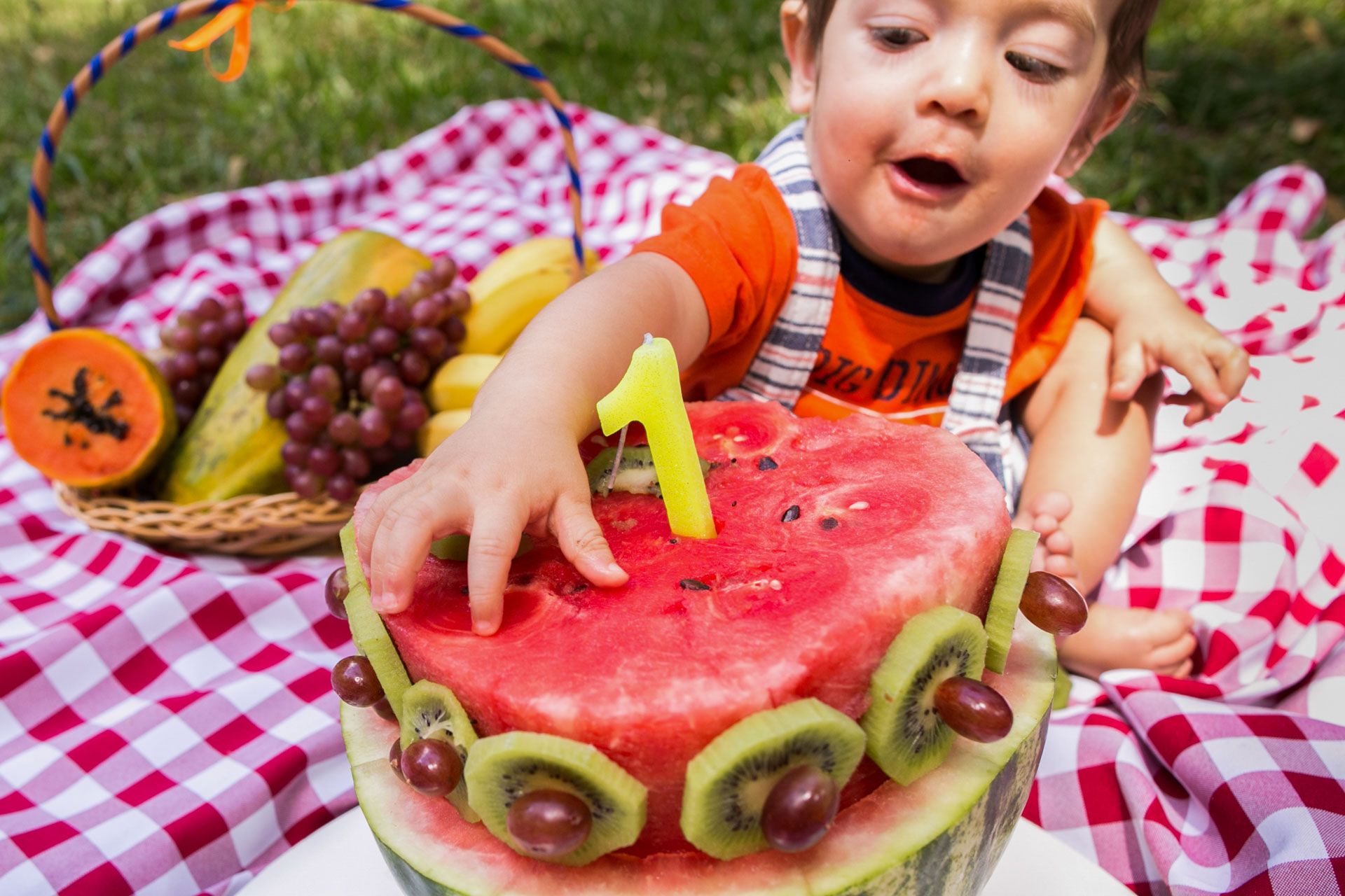 Piquenique do Bernardo em São Paulo SP - 2 - 5