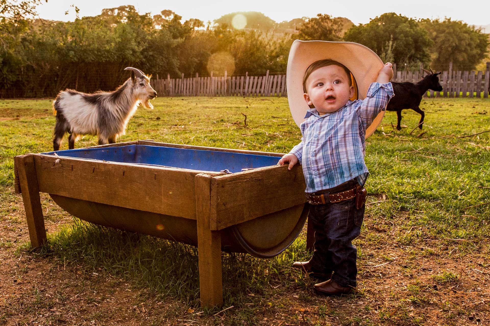Fazendinha com João Gabriel em Santo Antônio da Alegria SP - 2 - 9
