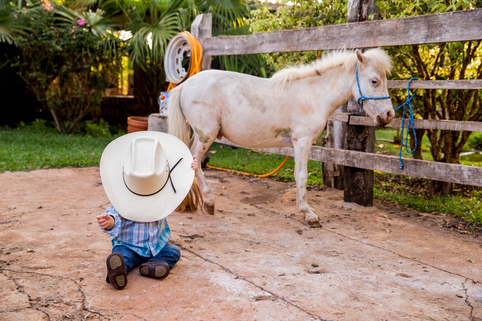 Fazendinha com João Gabriel em Santo Antônio da Alegria SP - 2 - 4
