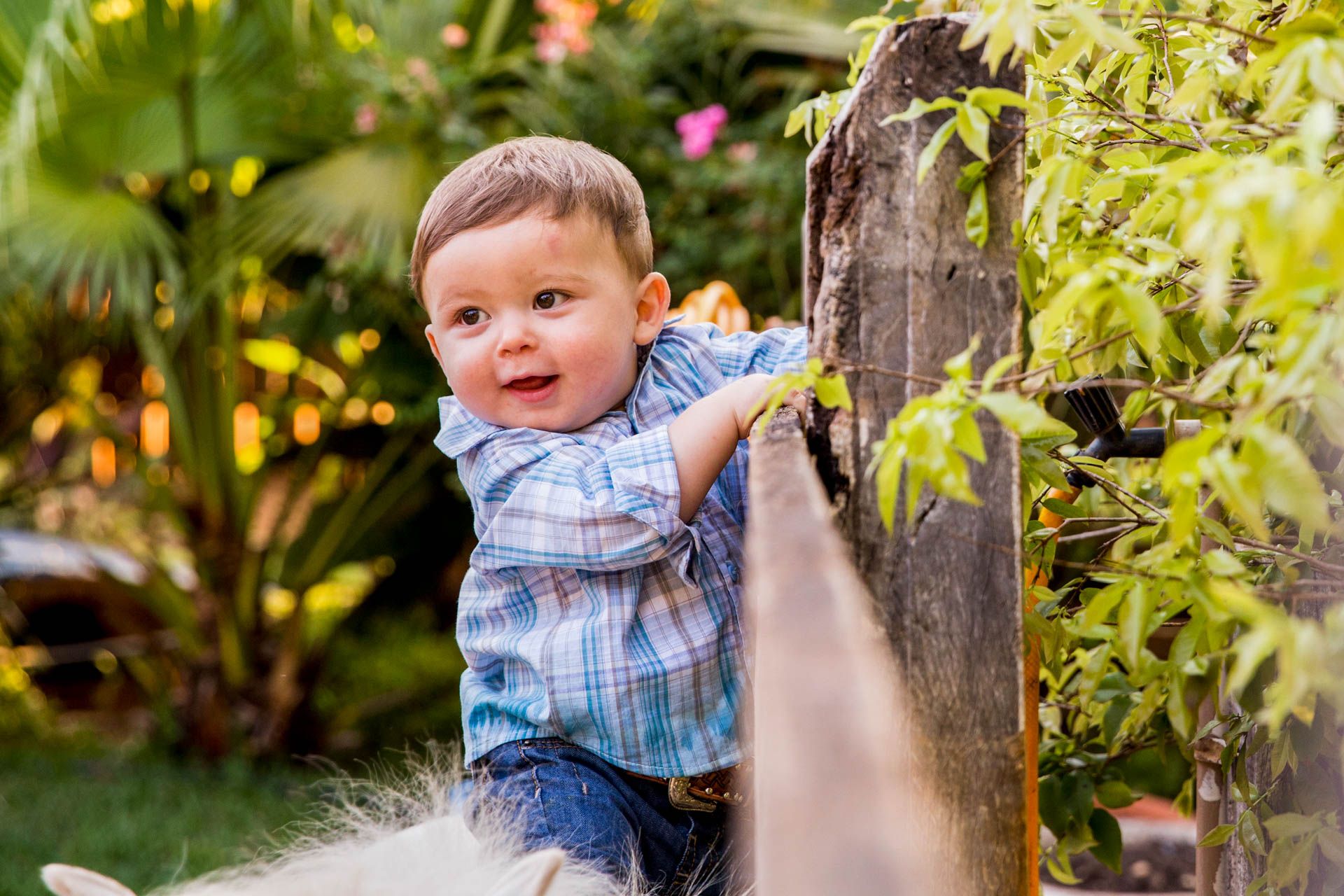 Fazendinha com João Gabriel em Santo Antônio da Alegria SP - 2 - 5