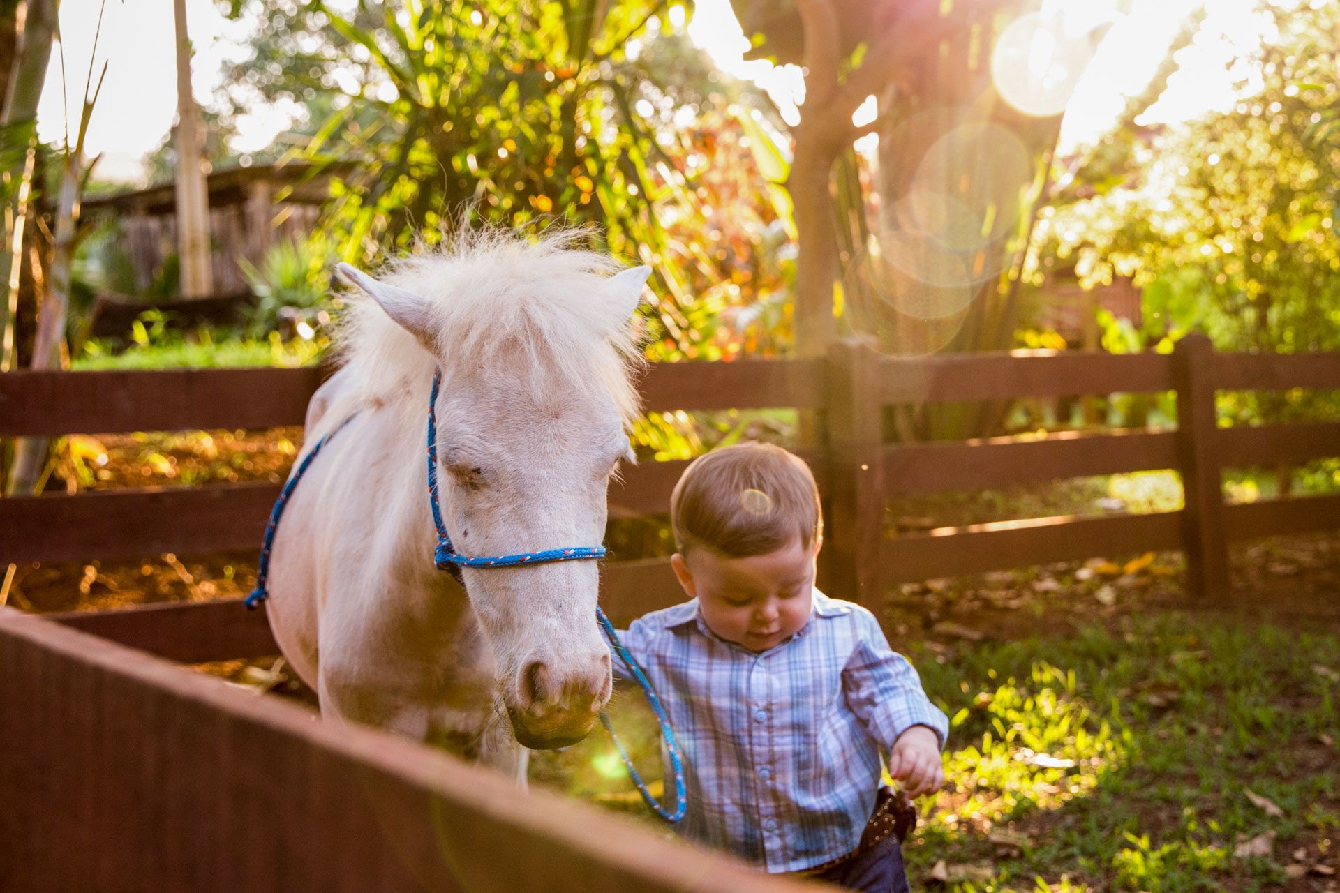 Fazendinha com João Gabriel em Santo Antônio da Alegria SP - 2 - 6