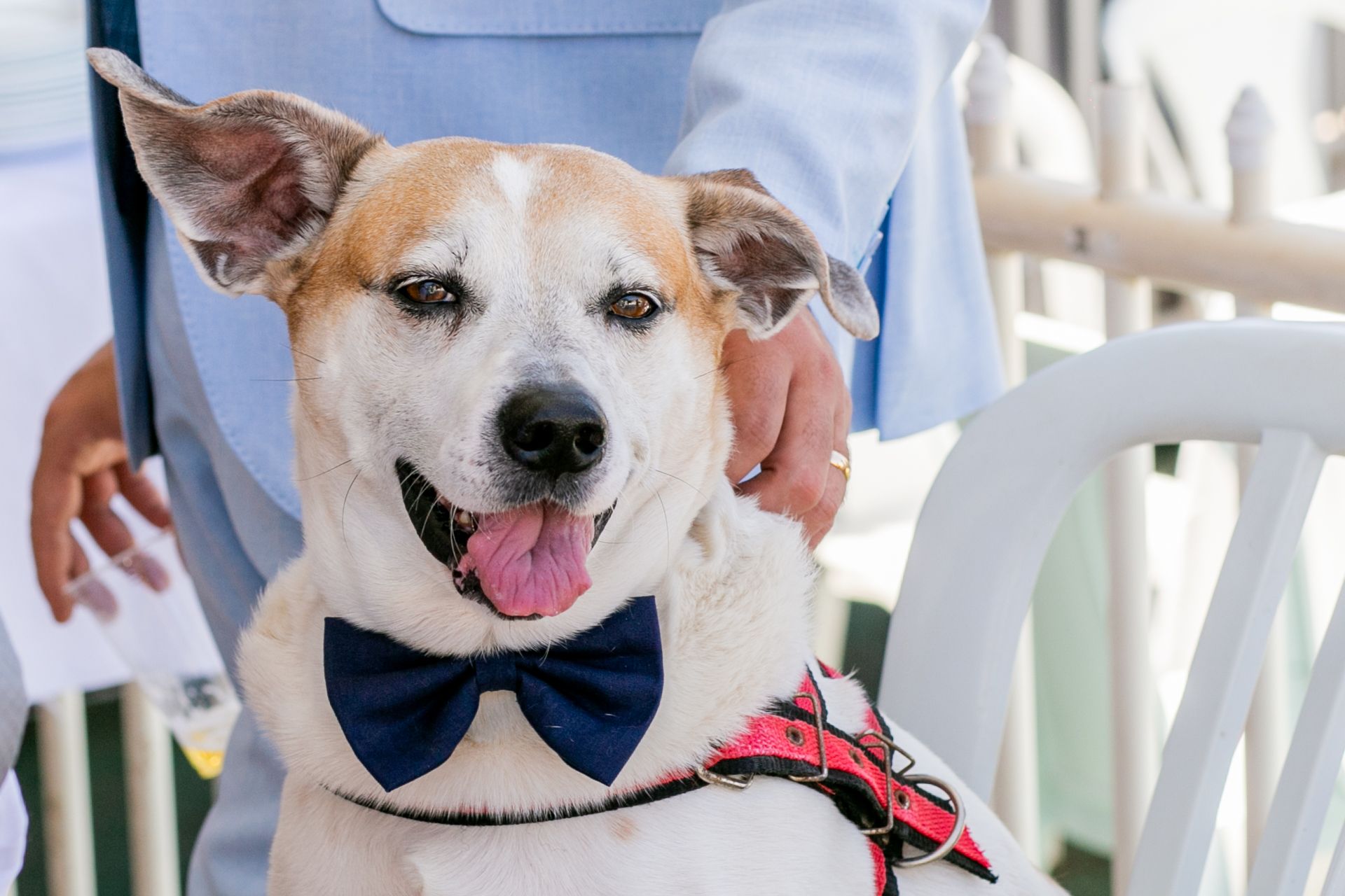 Casamento Fred e Rogério em Capivari SP - 2 - 44