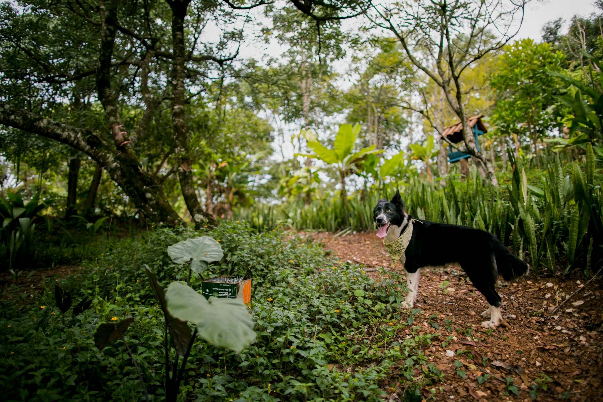 Pré Casamento Tainara e Luis Fernando em Jacuí MG - 2 - 1